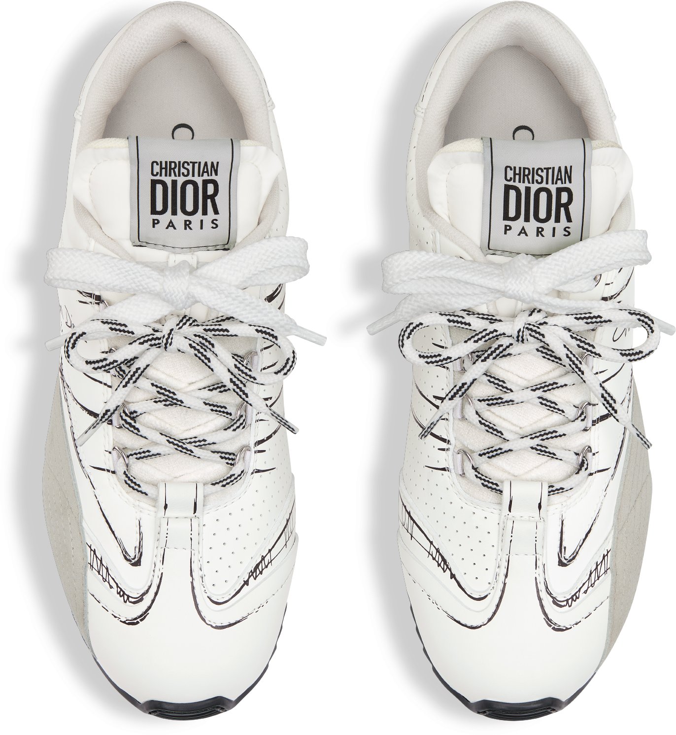 D-Sketch Sneaker Top shot view