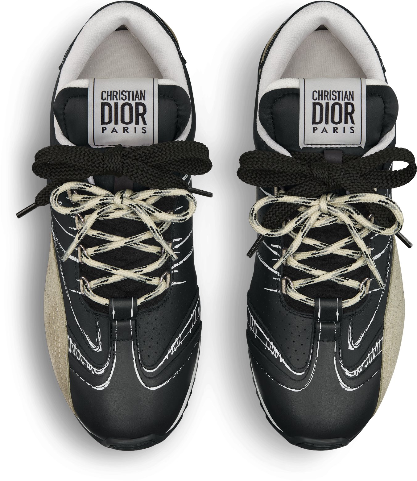Sneaker D-Sketch aria_topShotView