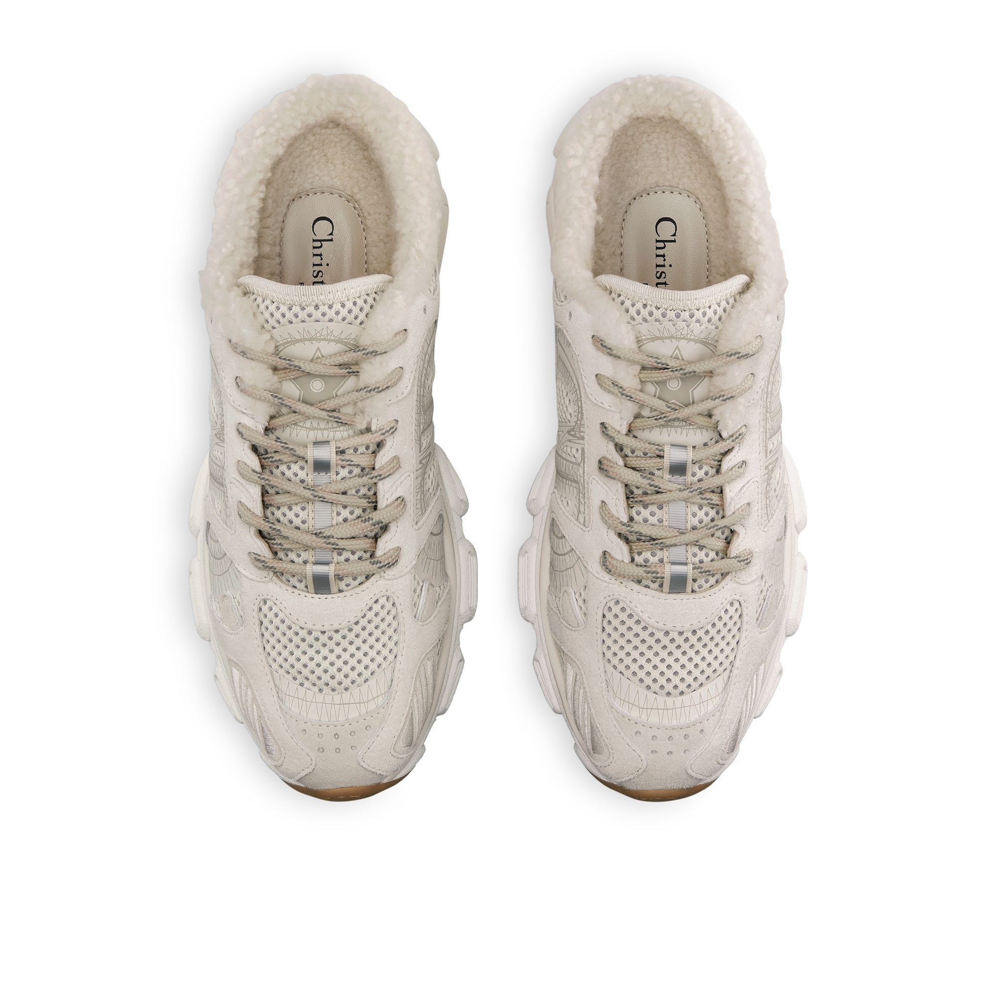 DiorAlps Dior Chrono Sneaker