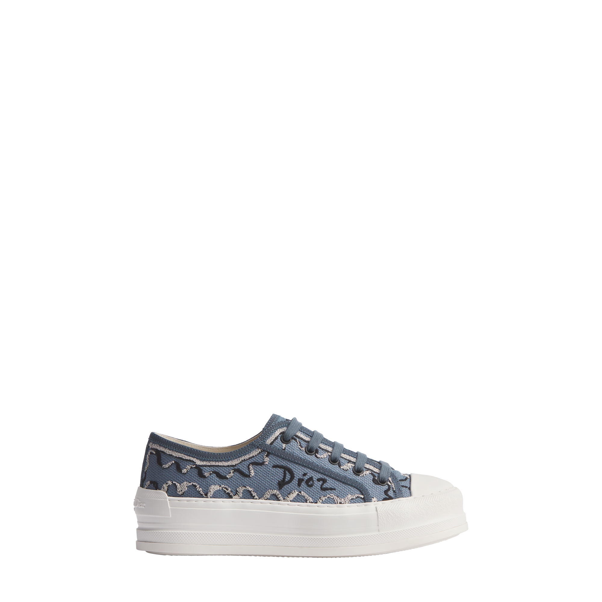  Blue Dior Painted Ribbon Embroidered Cotton