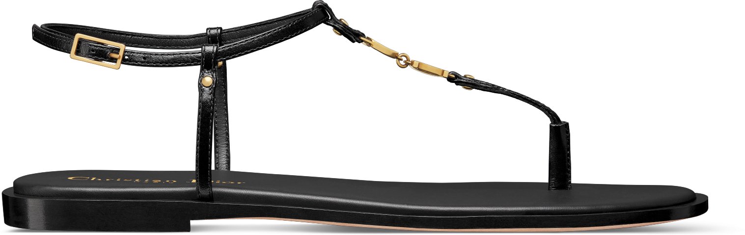 Dior thong sandals sales