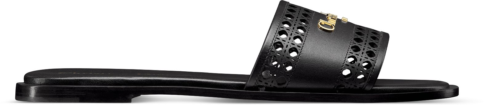 D-Lane Slide Profile view