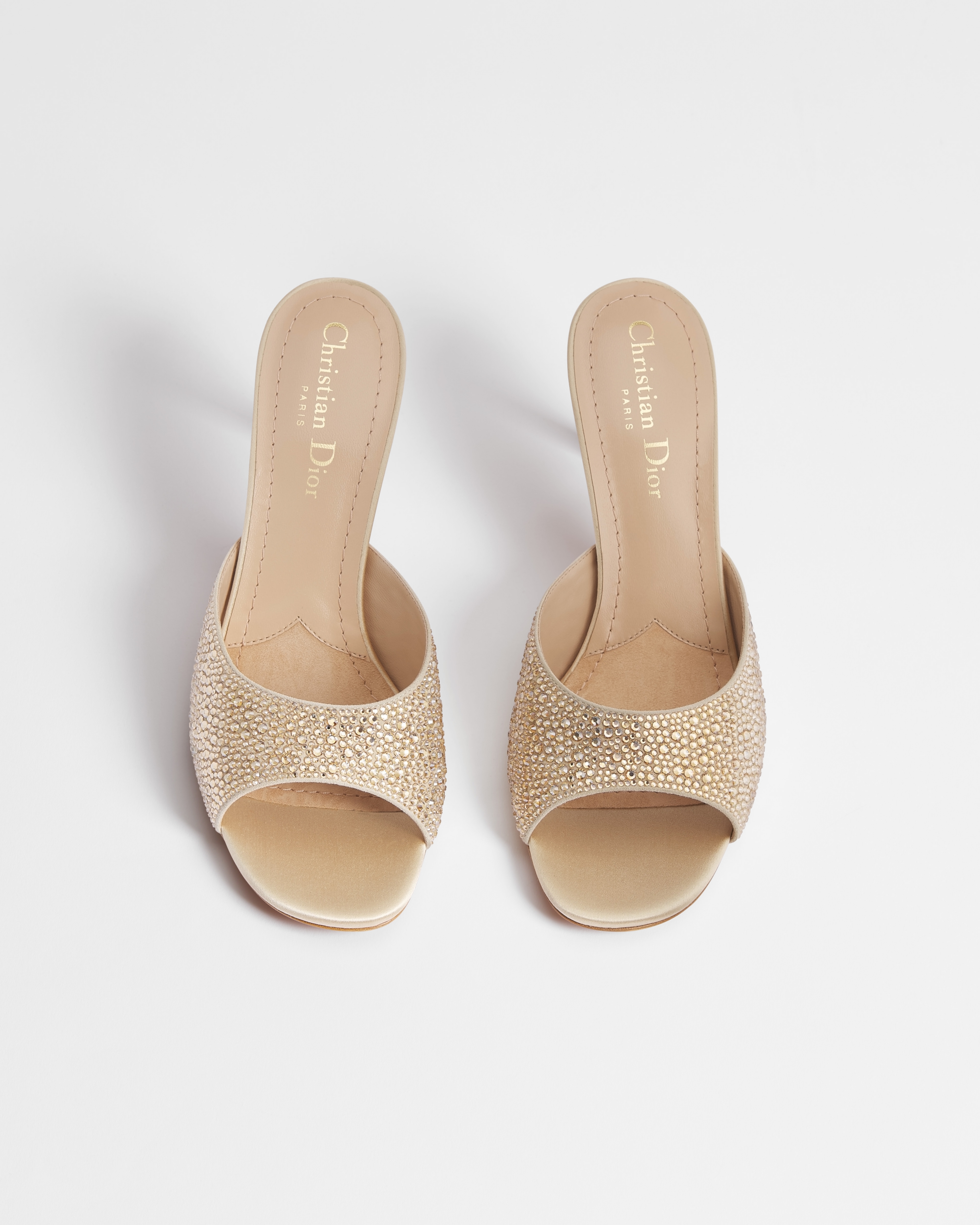 Dior Or Icon Heeled Slide