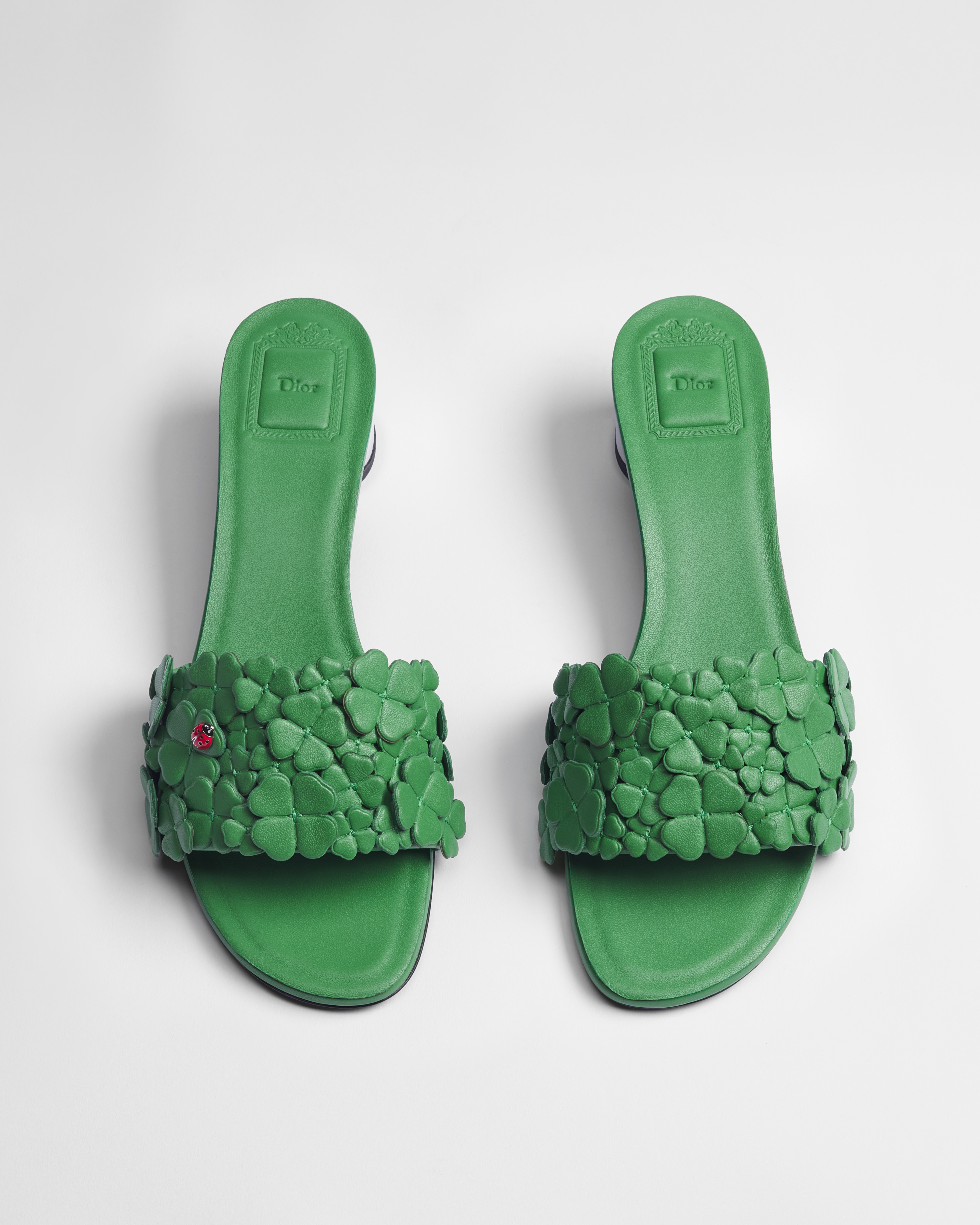 Mule à talon Dior Bloom Cuir d'agneau brodé du motif Dior Clover vert E06