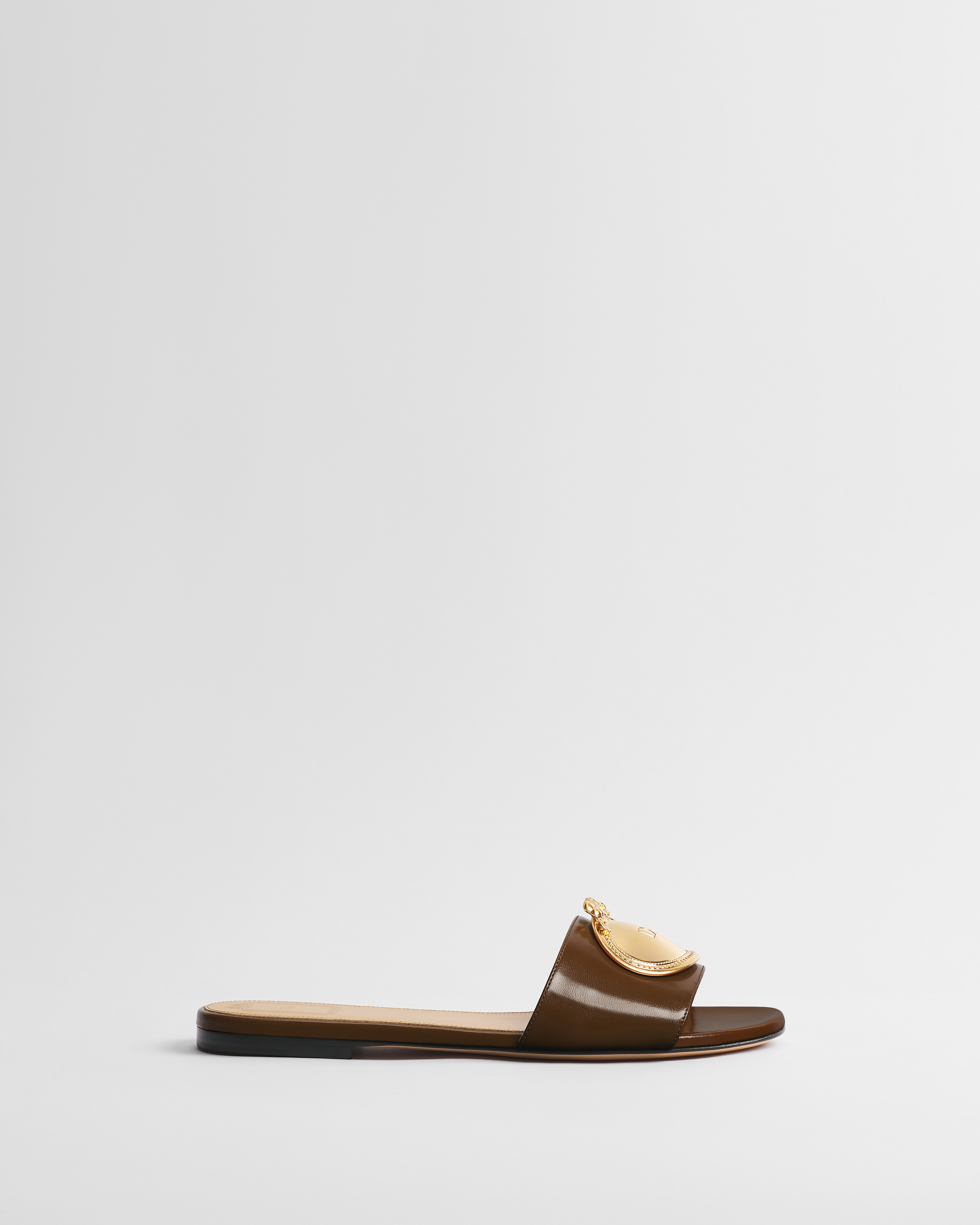 Dior Médaillon Buckle Slide Cognac Brown Lambskin E02