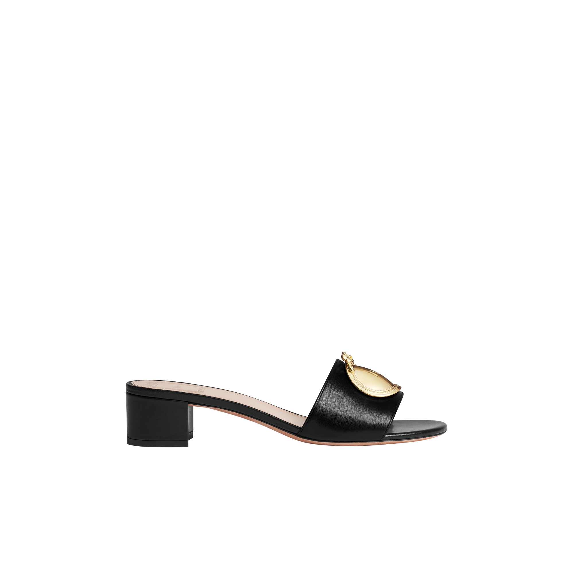 Dior Médaillon Buckle Heeled Slide Black Lambskin E02