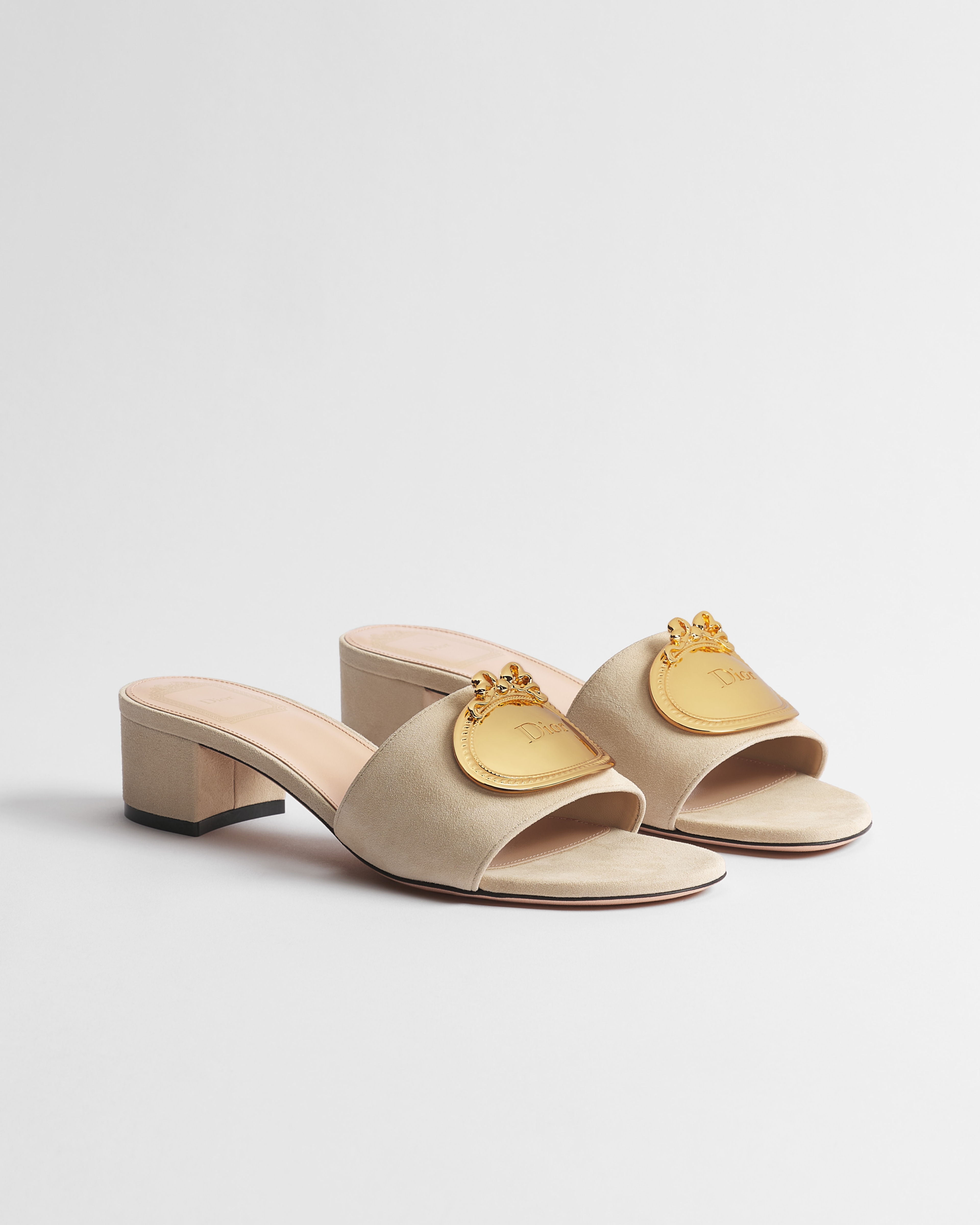 Dior Médaillon Buckle Heeled Slide