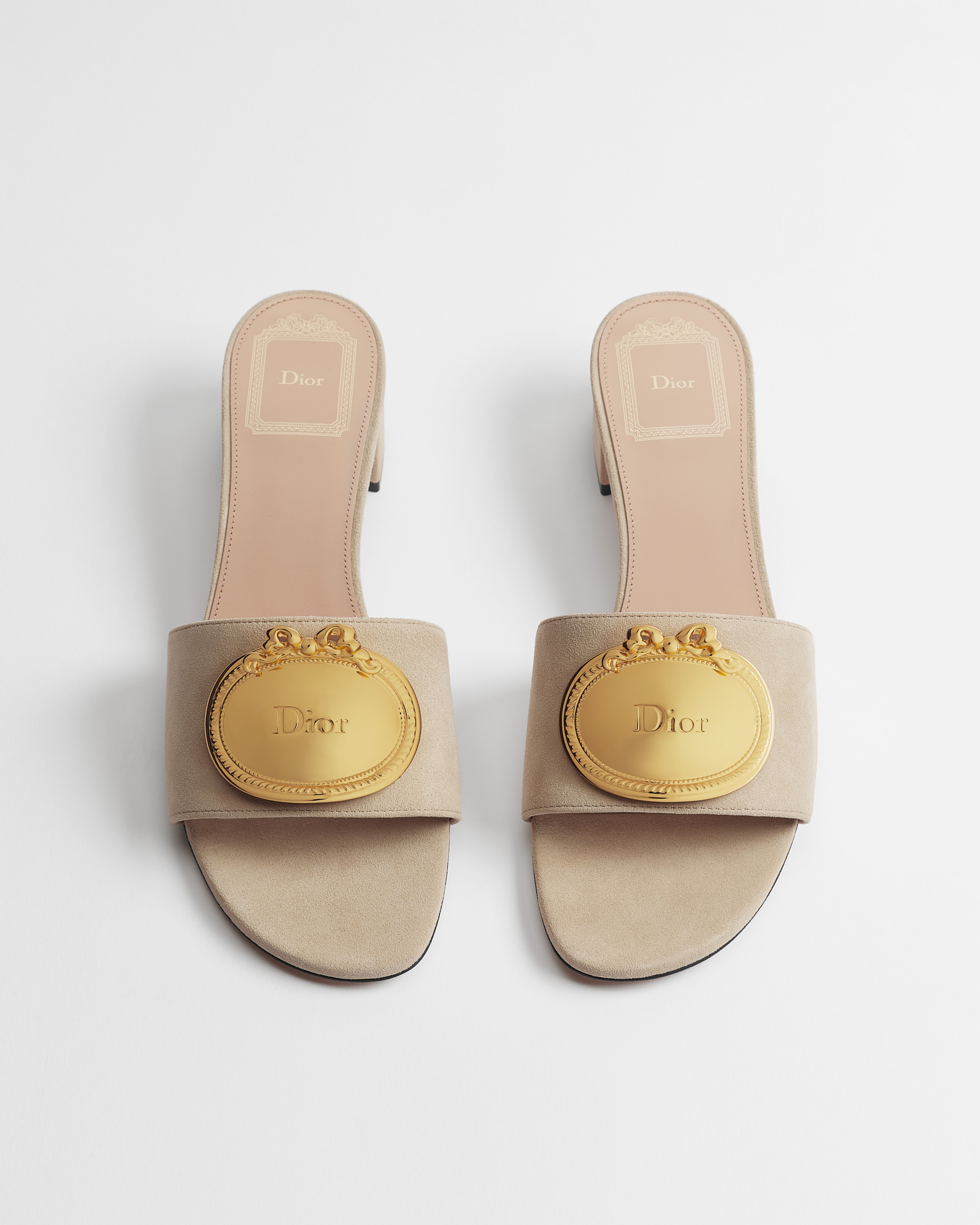 Dior Médaillon Buckle Heeled Slide