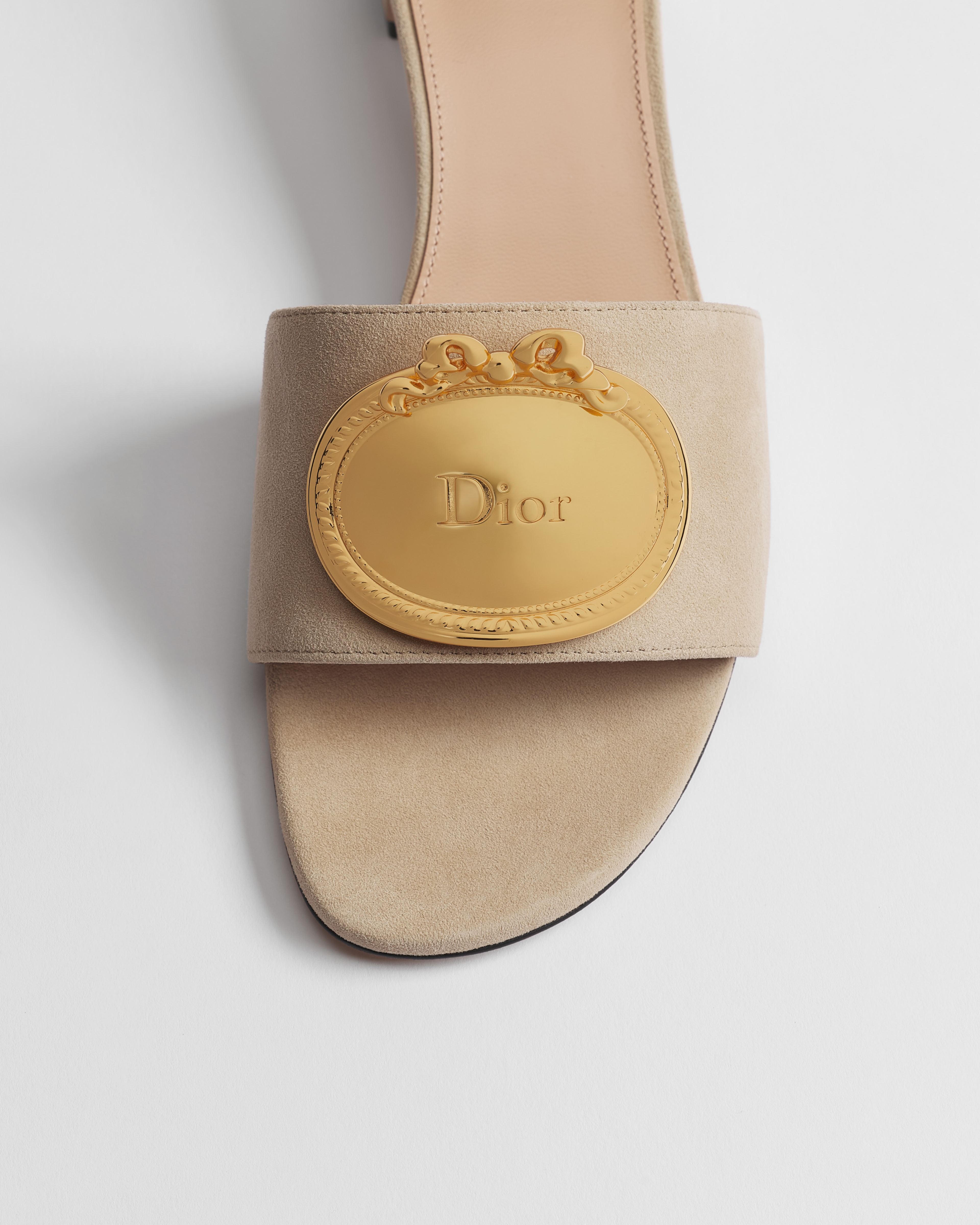 Dior Médaillon Buckle Heeled Slide