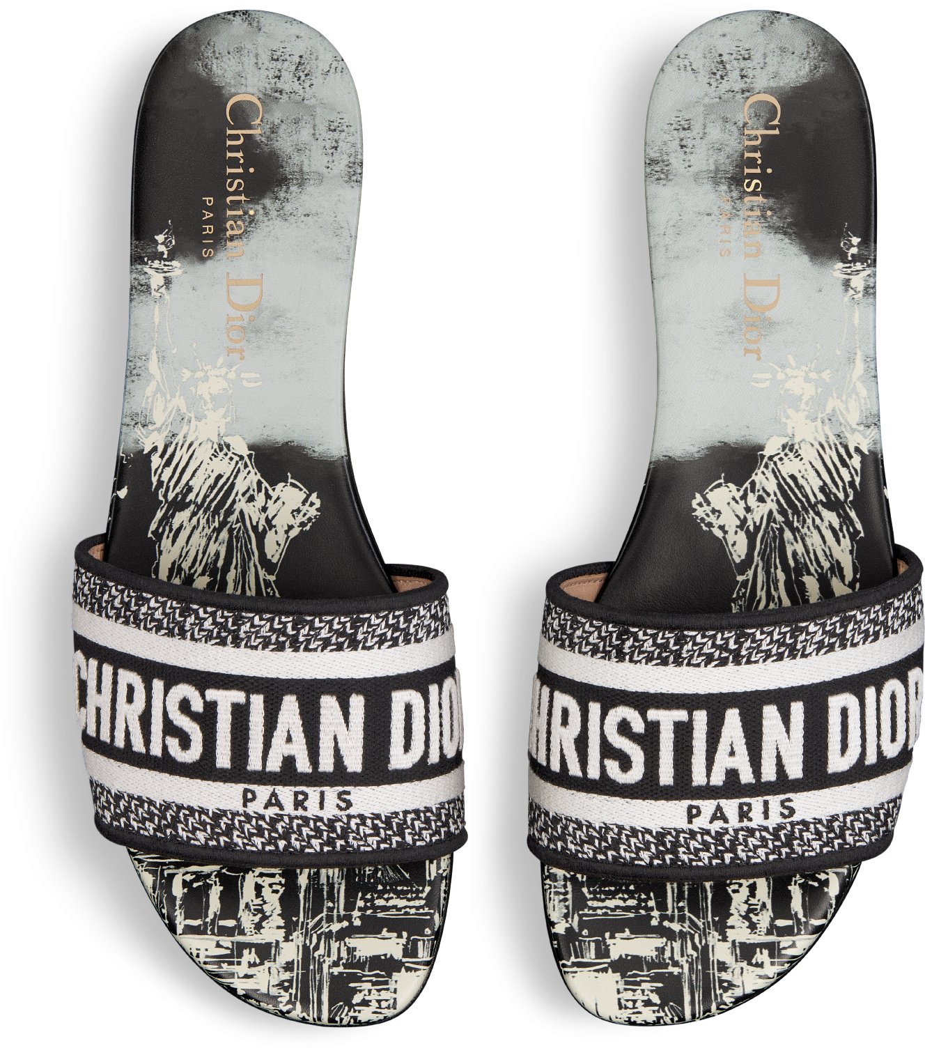 Dway dior online