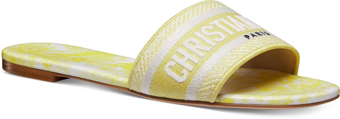 Dior flat shoes 2019 on sale