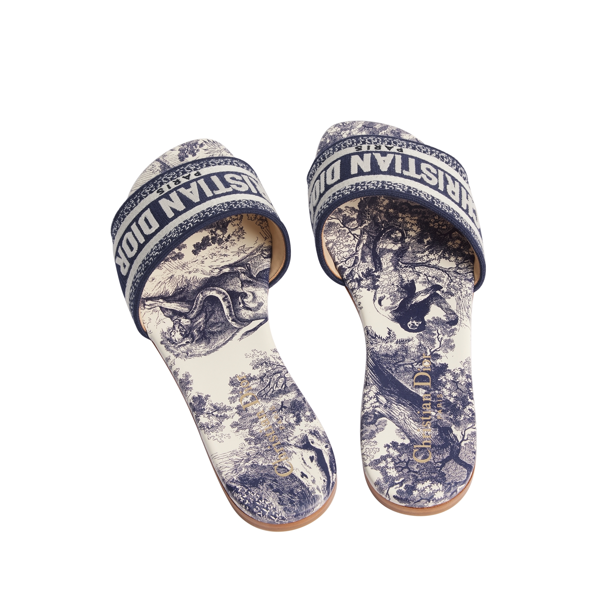 Dway Slide Vibrant Blue Embroidered Cotton and Toile de Jouy Motif E09