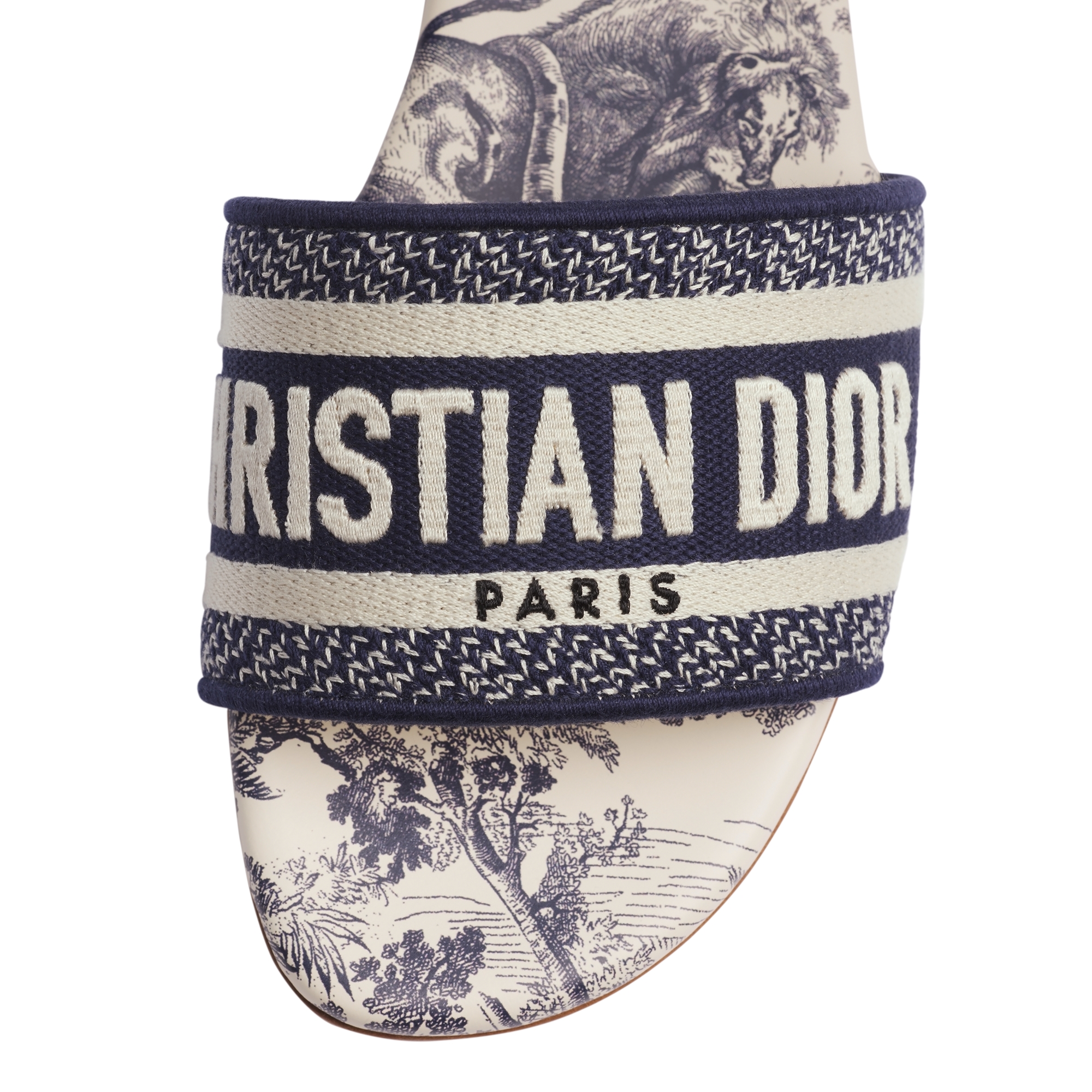 Dway Slide Vibrant Blue Embroidered Cotton and Toile de Jouy Motif E10