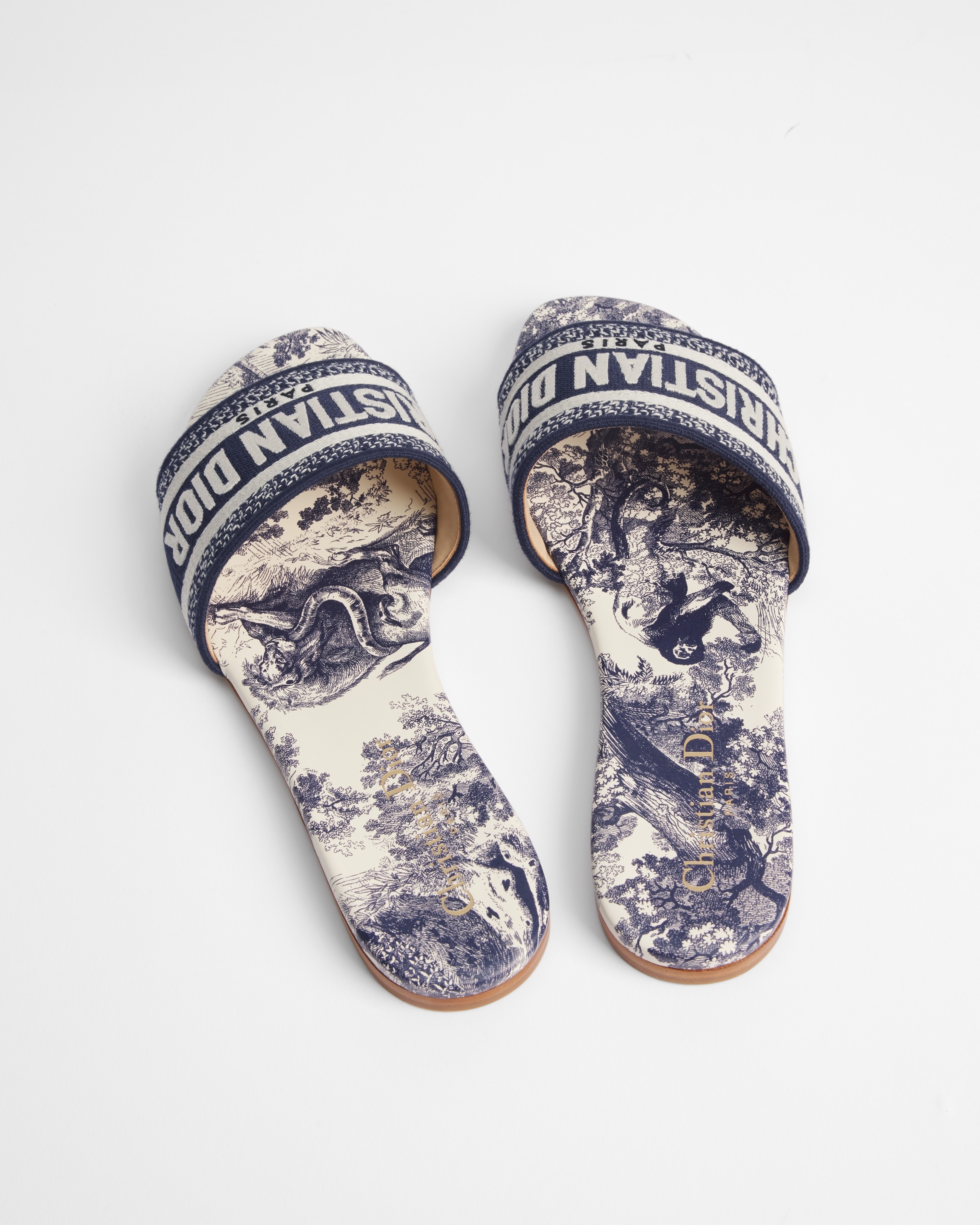 Dway Slide Vibrant Blue Embroidered Cotton and Toile de Jouy Motif E09