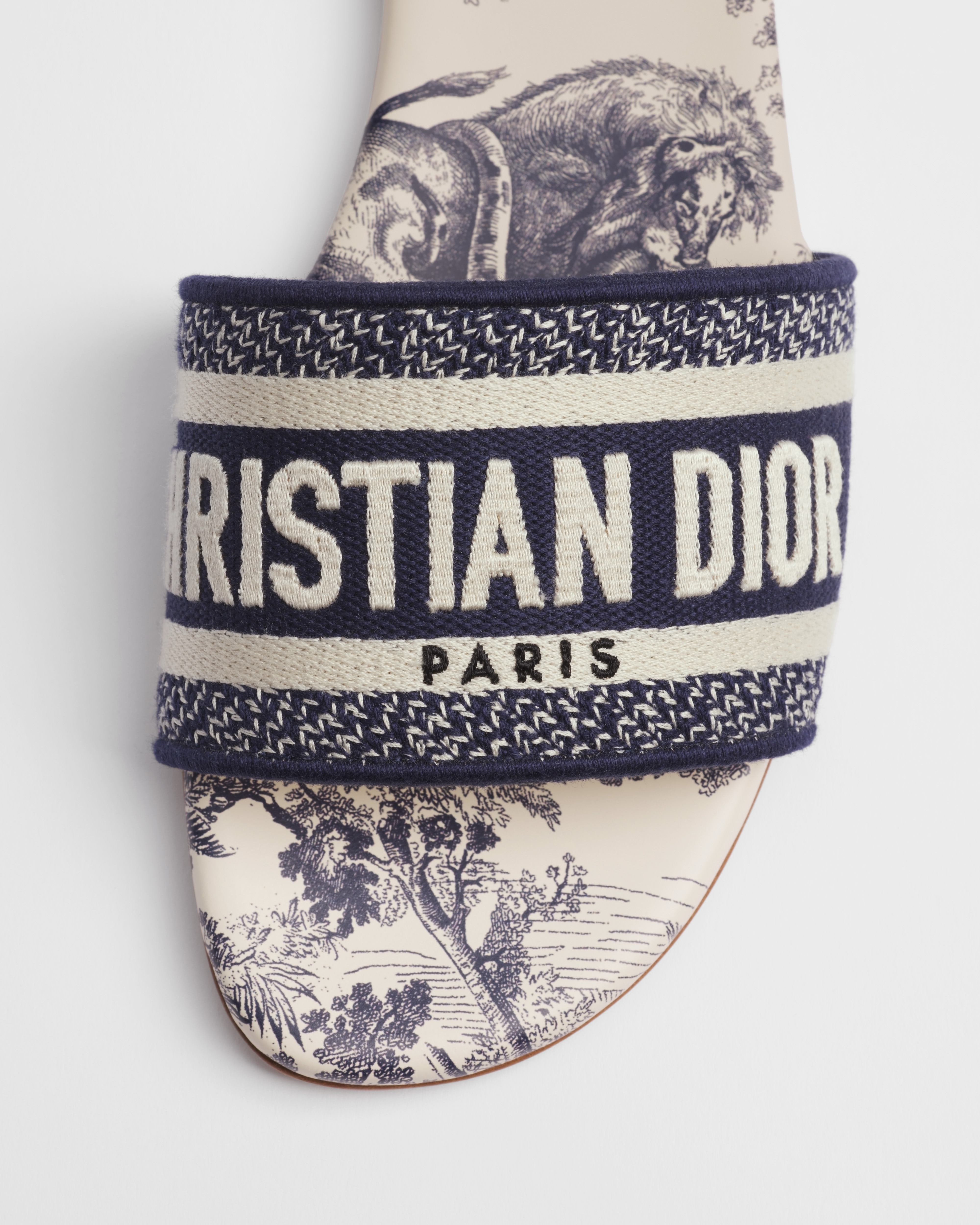 Dway Slide Vibrant Blue Embroidered Cotton and Toile de Jouy Motif E10