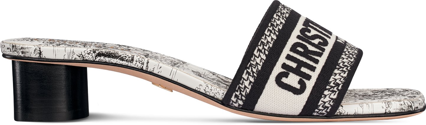Dior shoes women 2019 sales