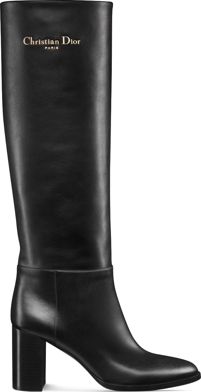 Christian dior booties top