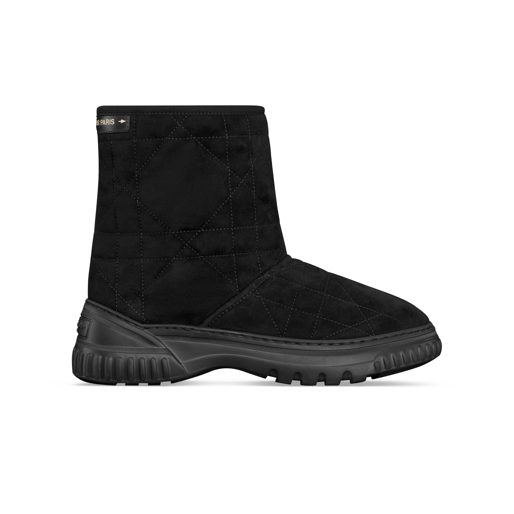 Dior Frost Ankle Boot