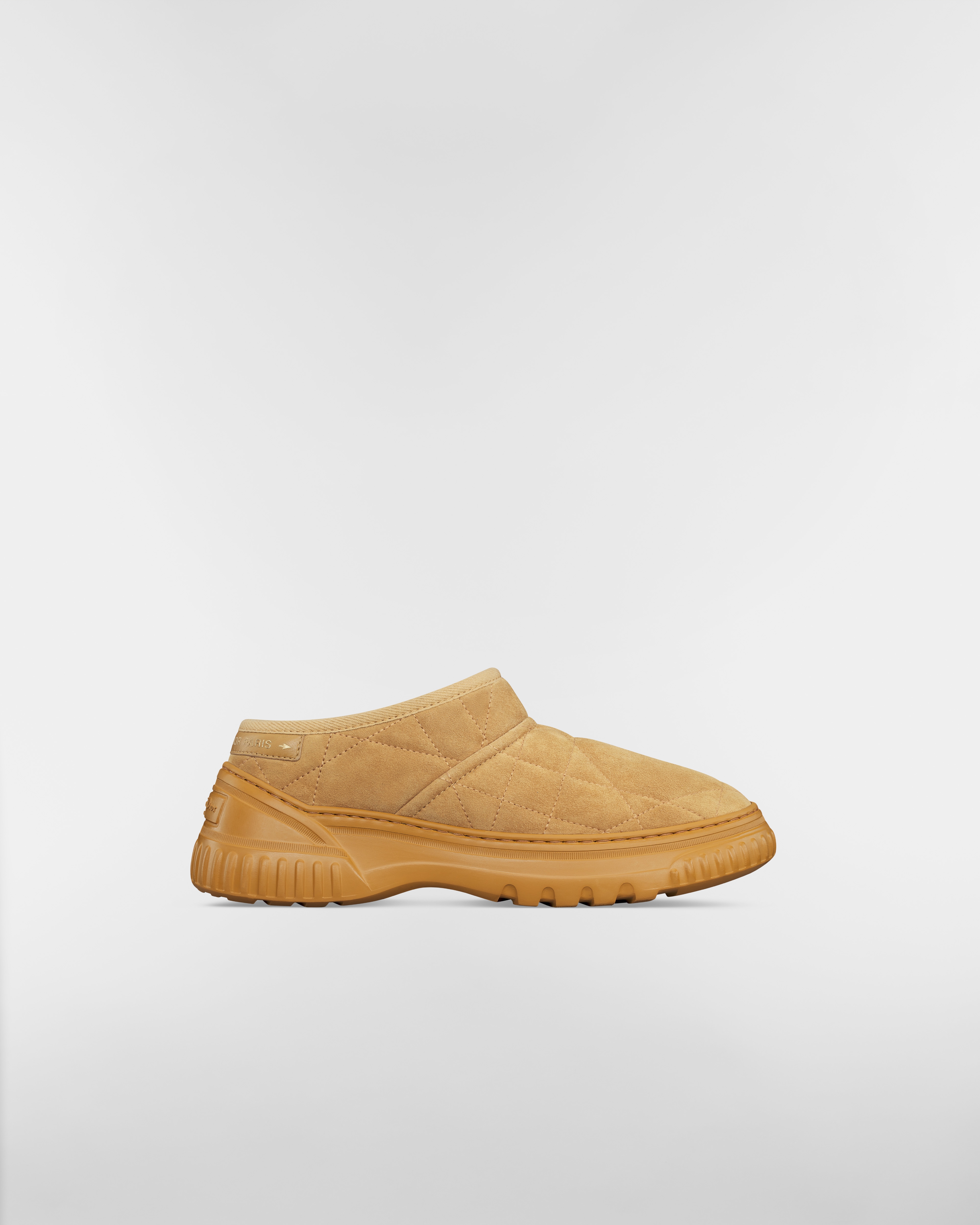 Dior Frost Low Ankle Boot