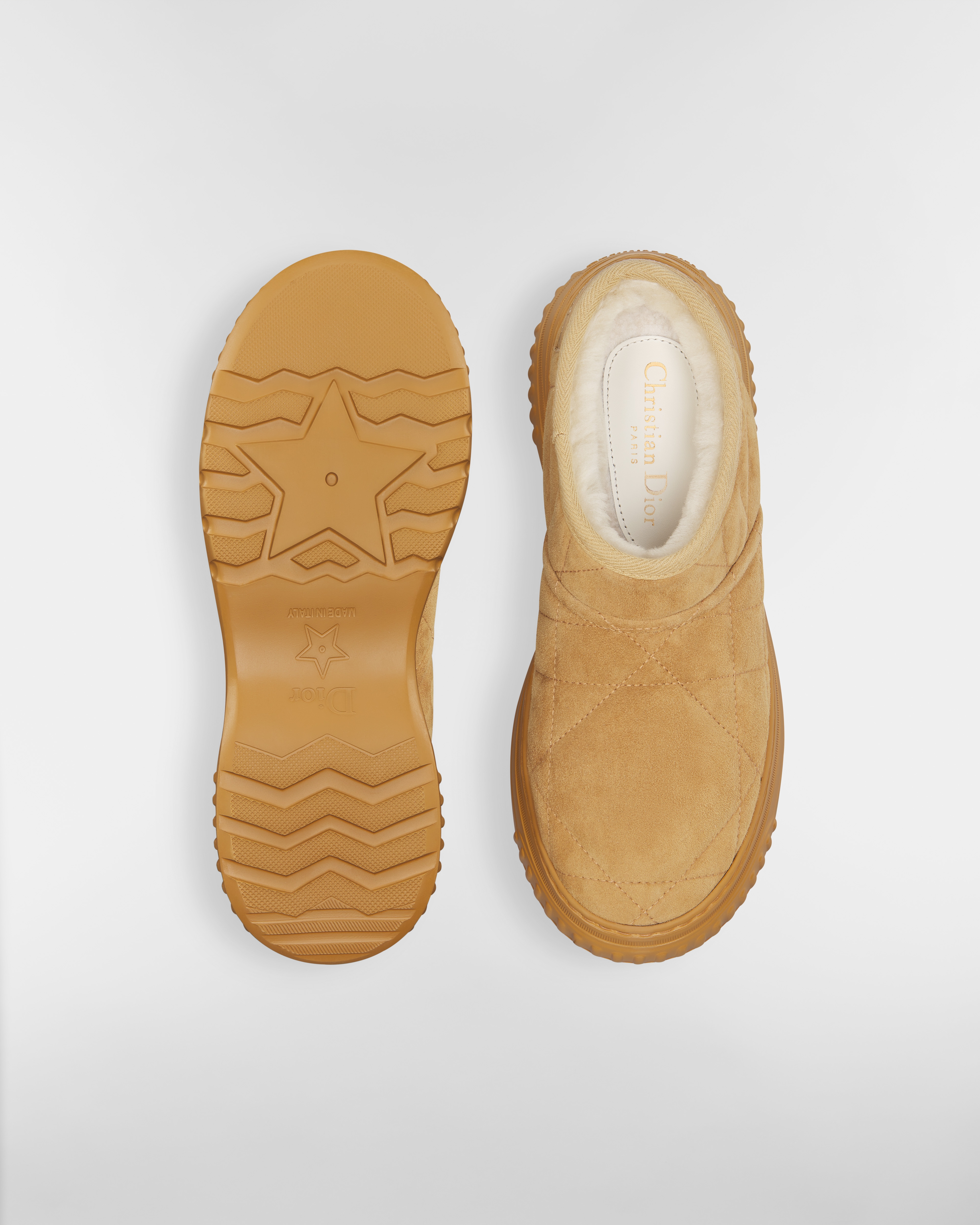 Dior Frost Low Ankle Boot