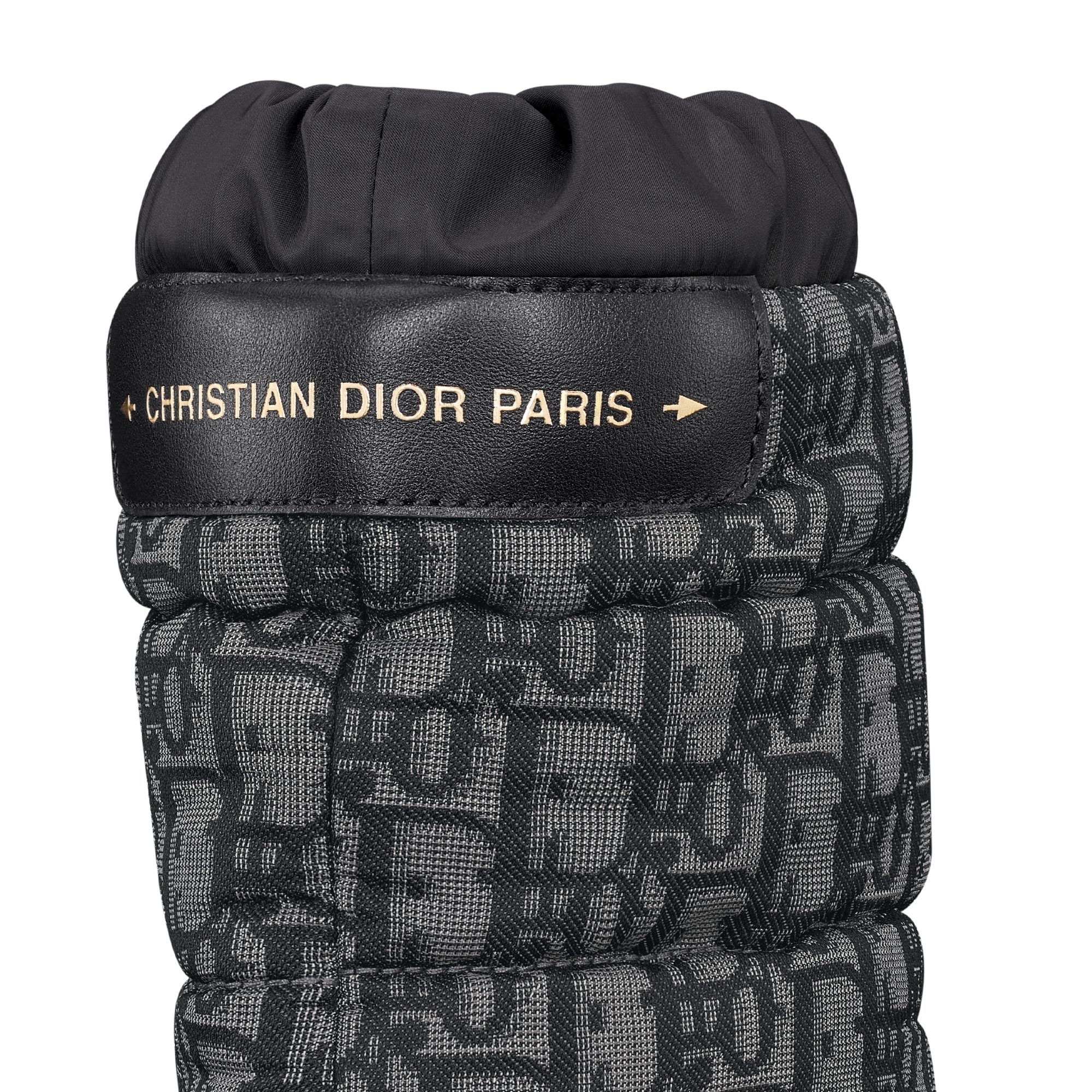 DiorAlps Dior Frost Ankle Boot