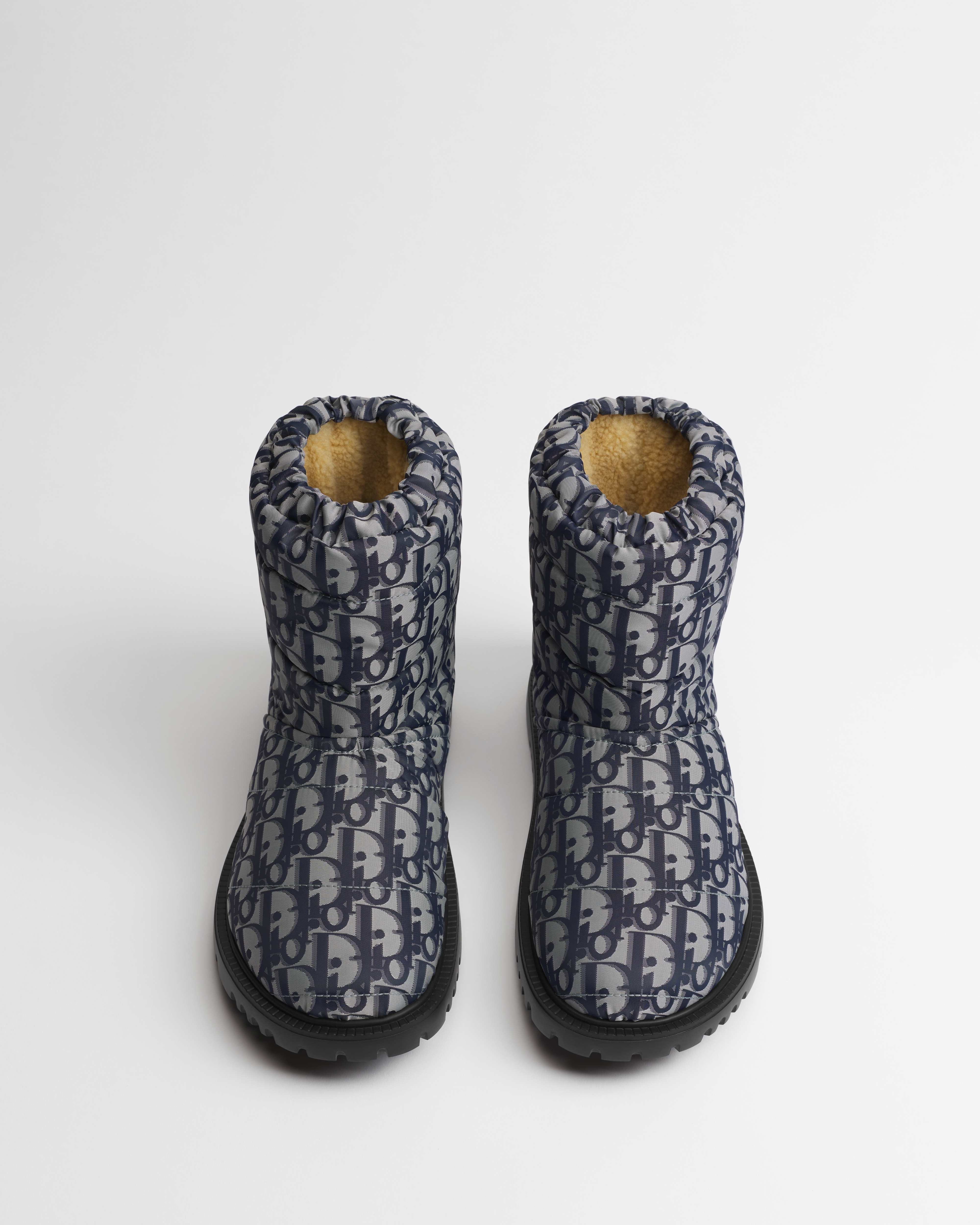 DiorAlps Dior Freeze Ankle Boot
