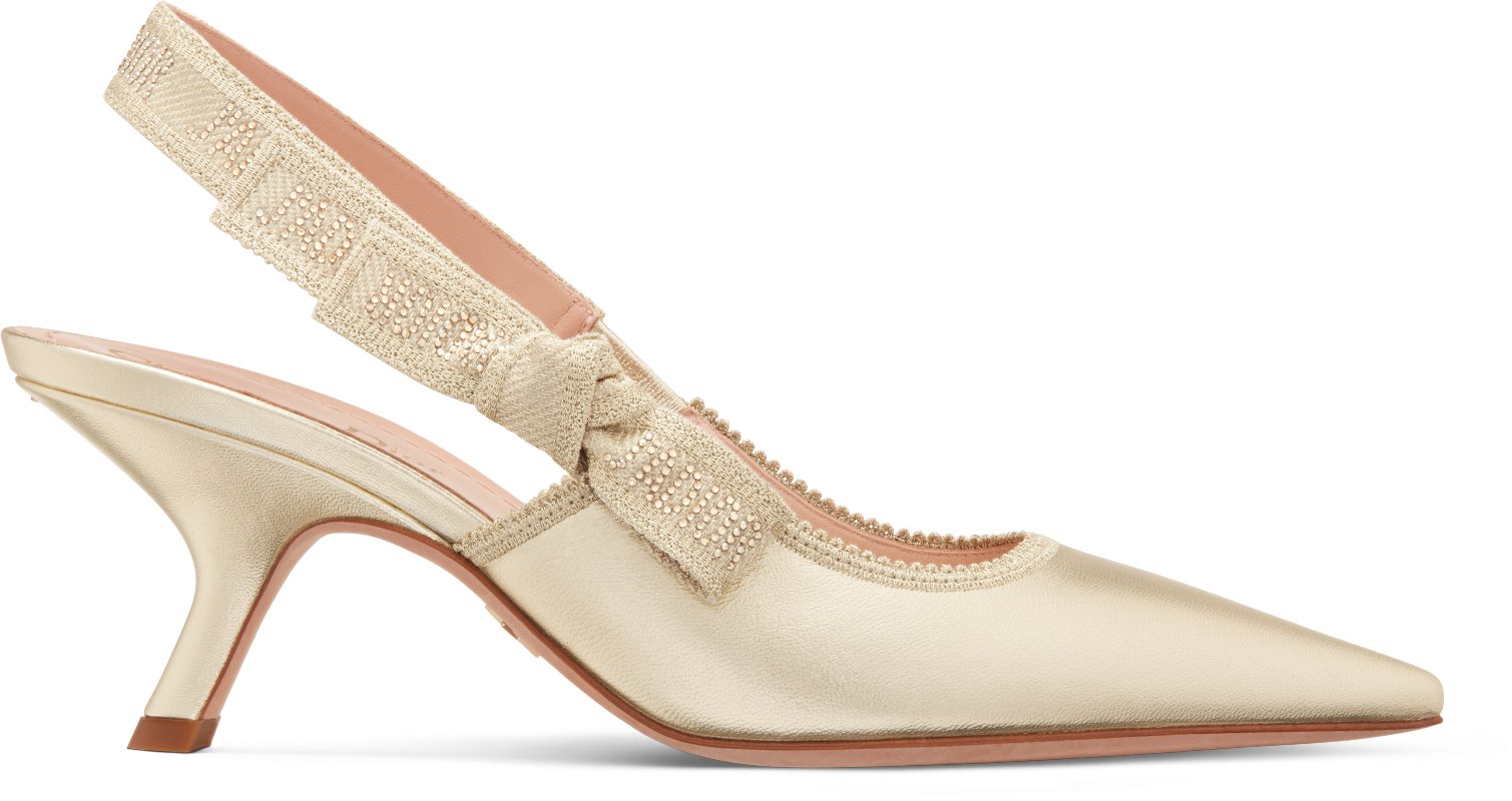 Women s Designer Heels Pumps DIOR CA DIOR