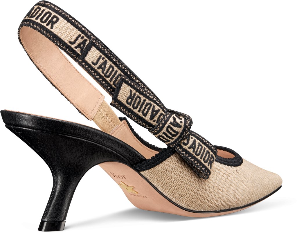 Dior slingback shoes top