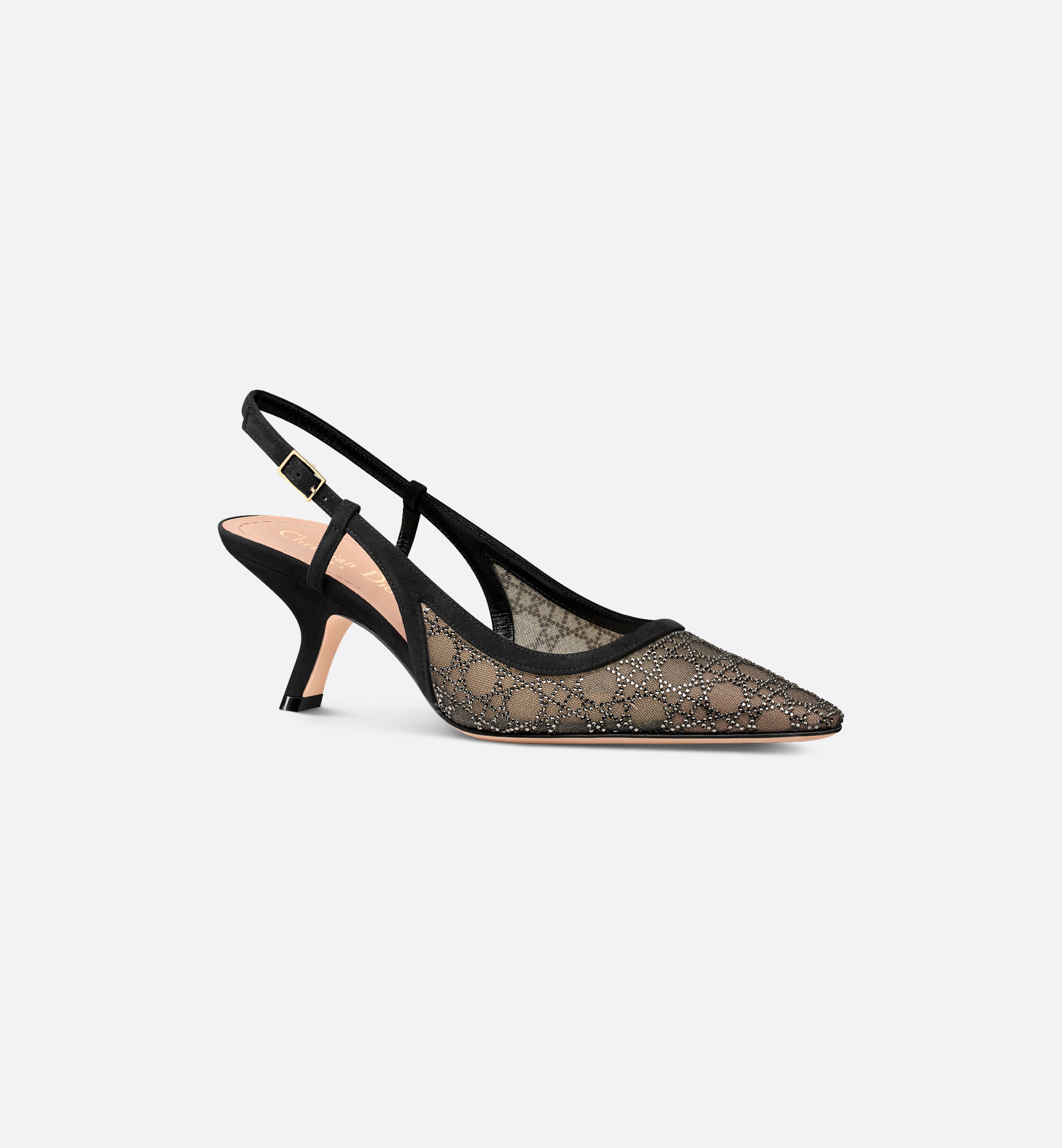 Dior Capture Slingback Pump Transparent Mesh with Silver Dior Capture Slingback Pump Transparent Mesh with Silver