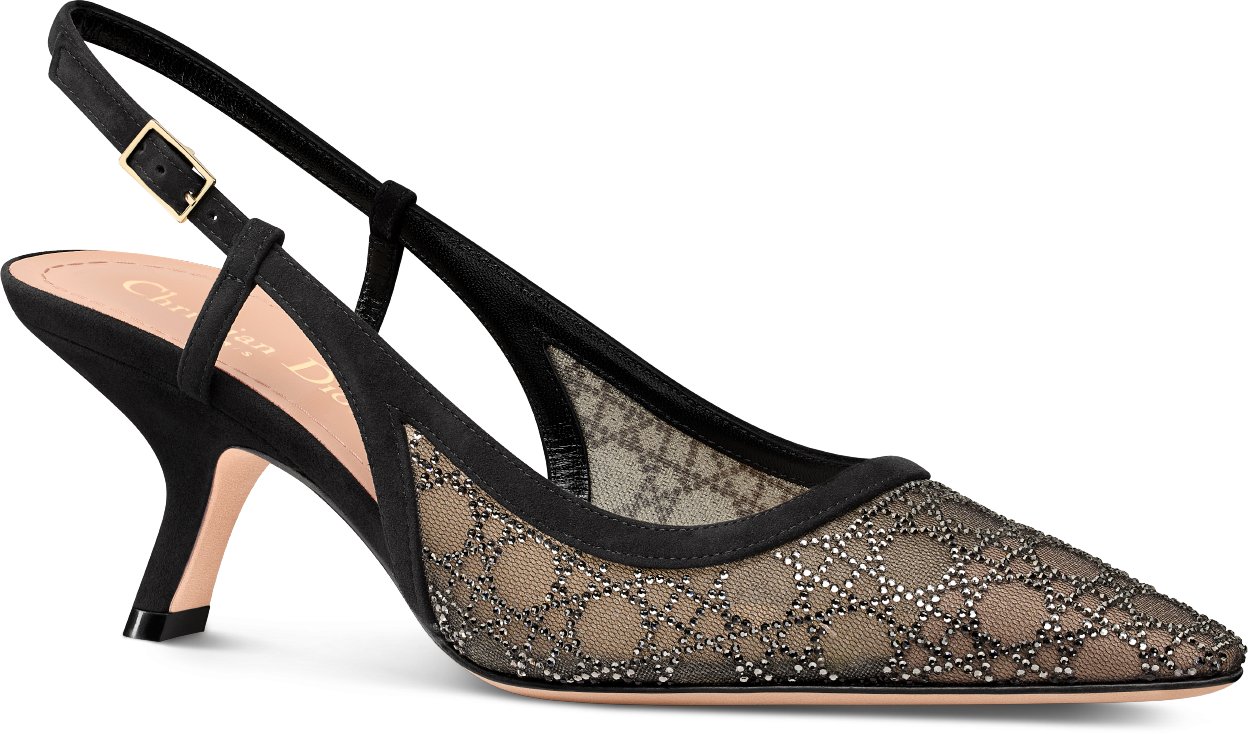 Stiletto dior best sale