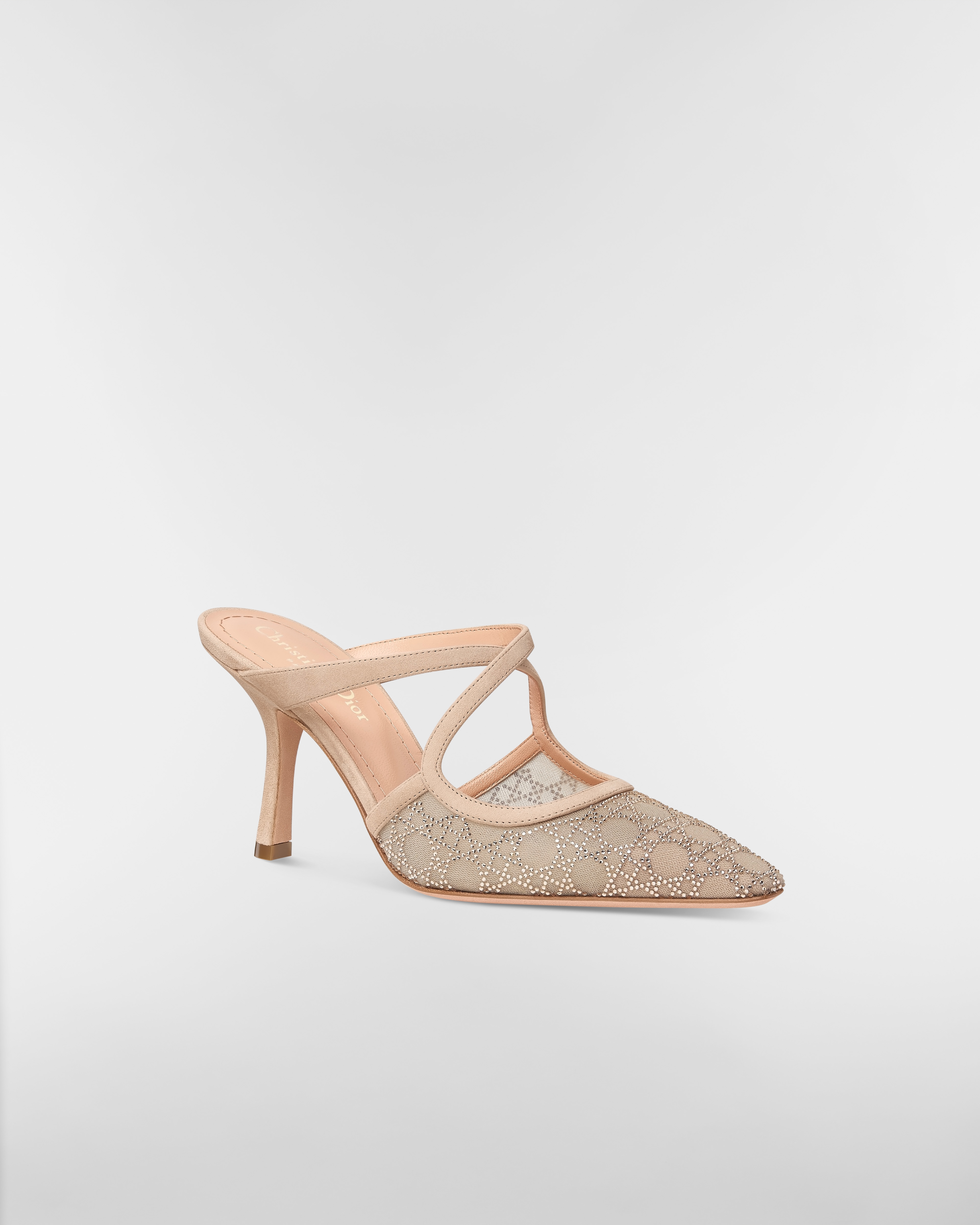 Dior Capture Heeled Mule Transparent Mesh with Strass Cannage Motif and Nude Suede Goatskin E03