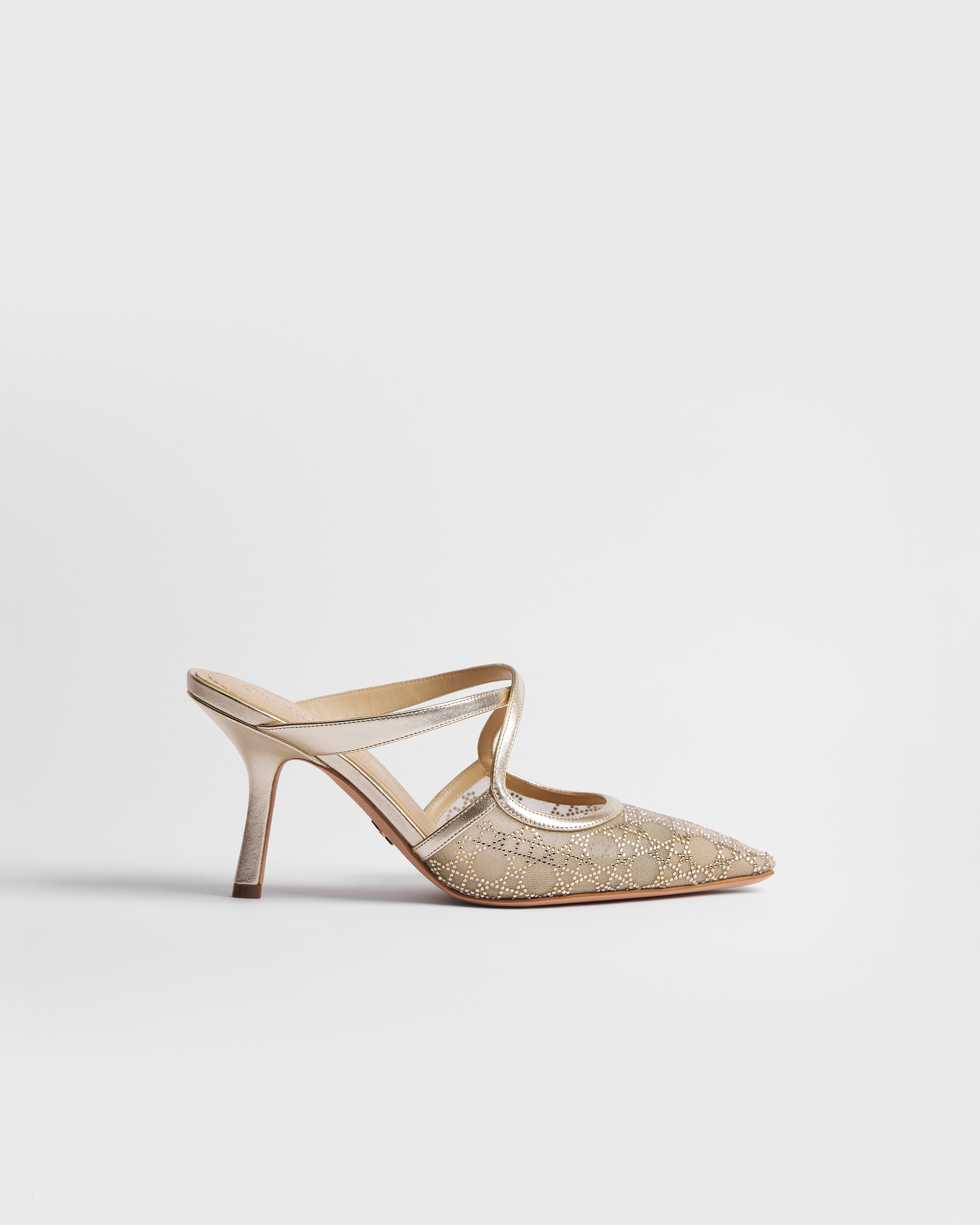 Dior Or Dior Capture Heeled Mule