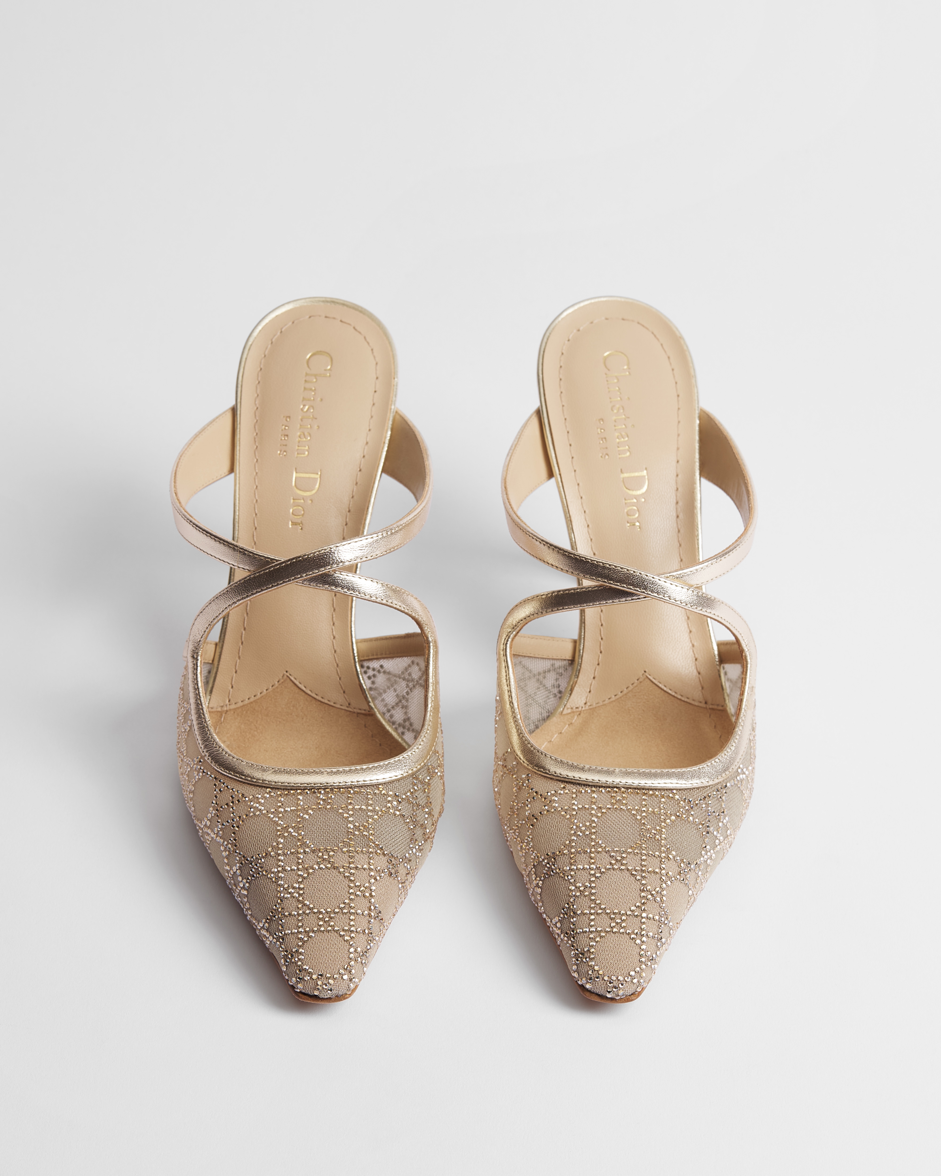 Dior Or Dior Capture Heeled Mule