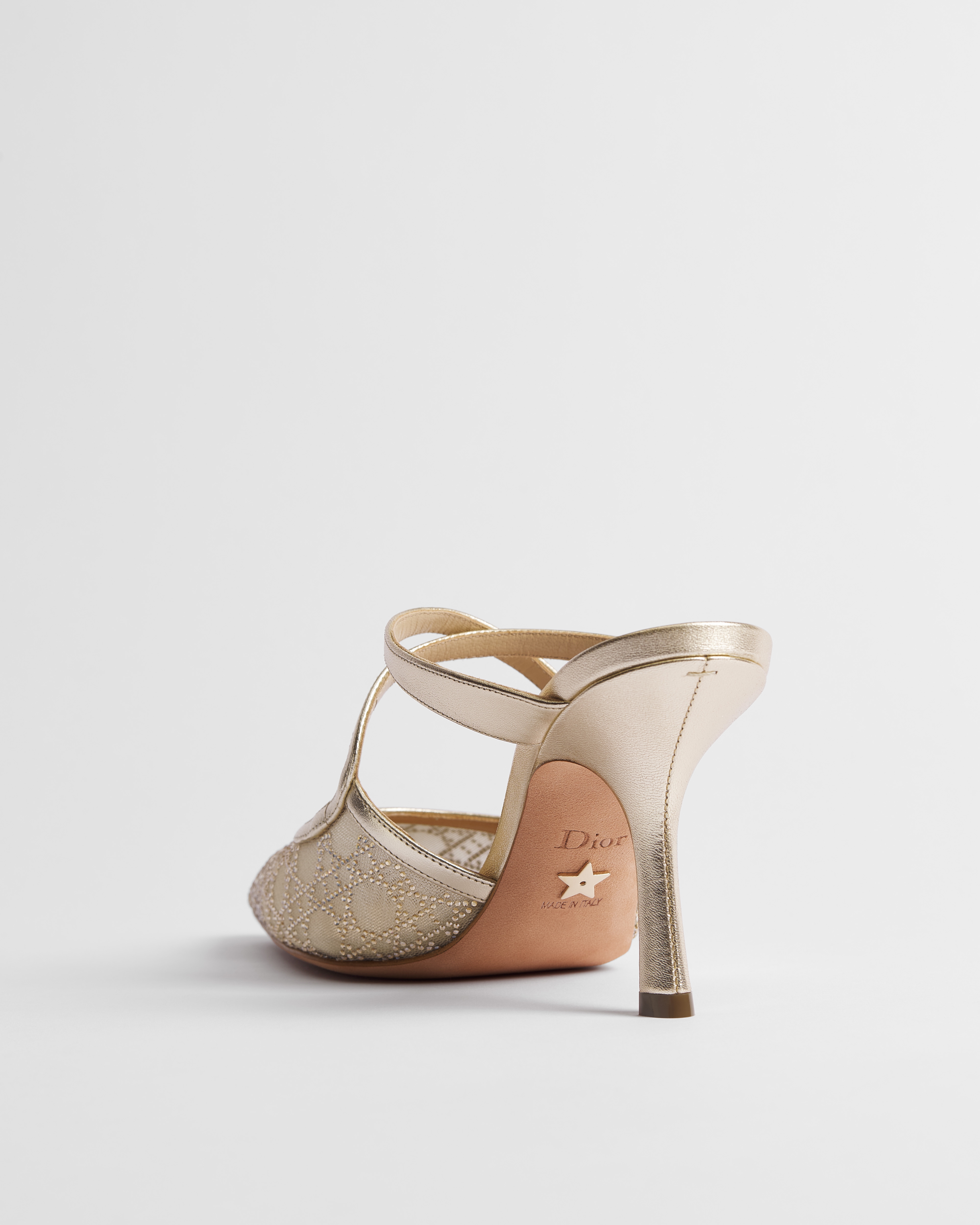 Dior Or Dior Capture Heeled Mule Transparent Mesh with Strass Cannage Motif and Gold-Tone Laminated Lambskin E09