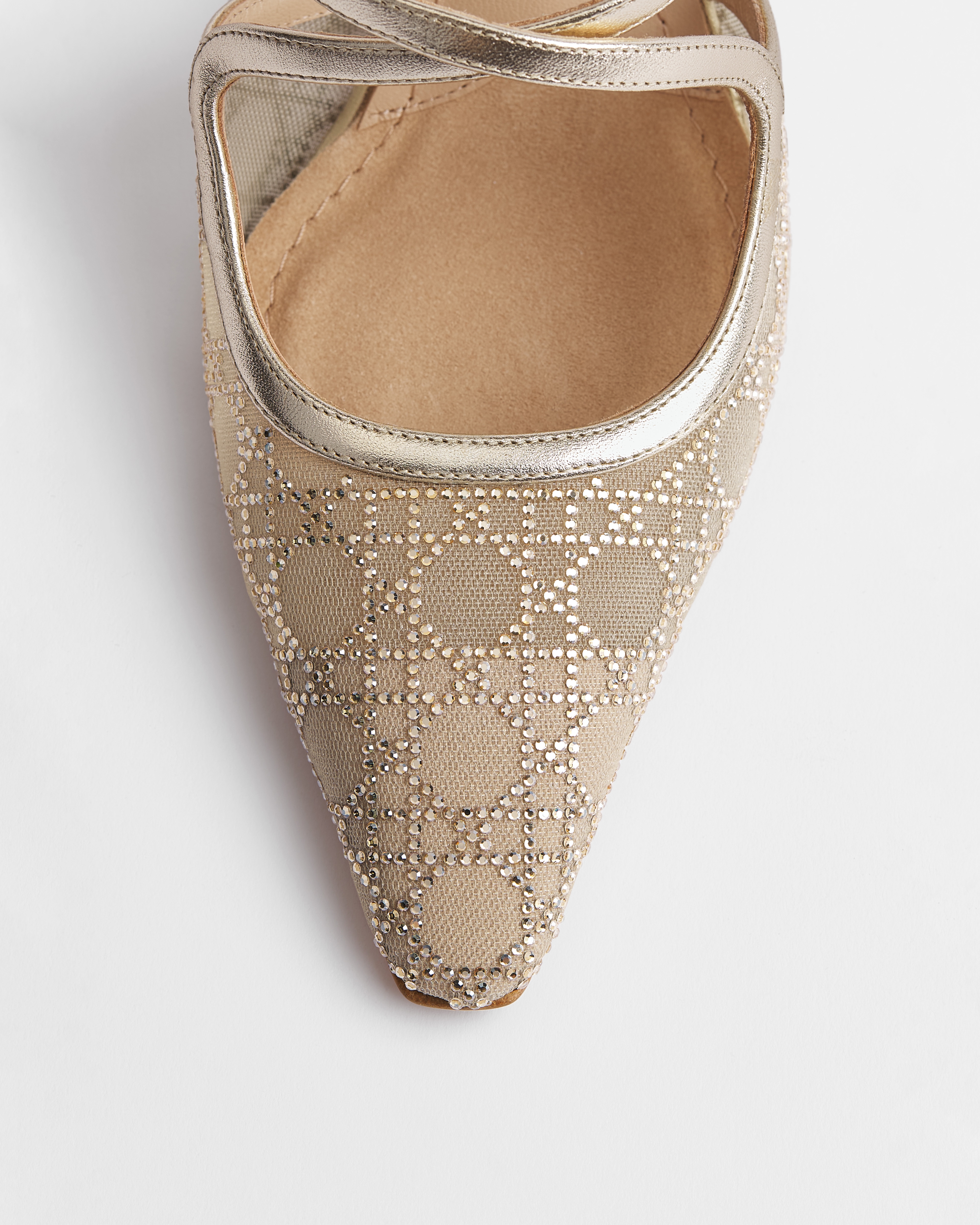 Dior Or Dior Capture Heeled Mule Transparent Mesh with Strass Cannage Motif and Gold-Tone Laminated Lambskin E10