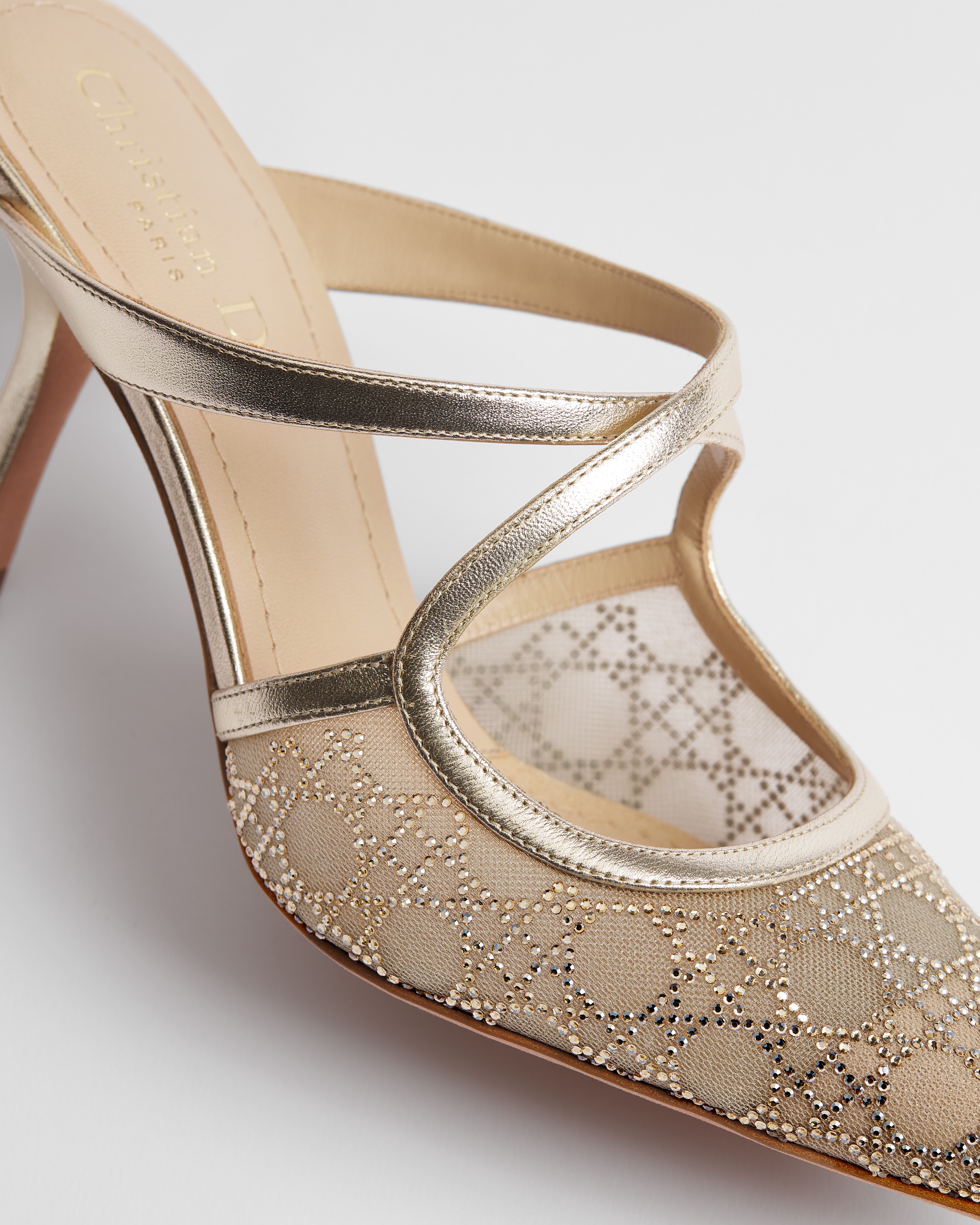 Dior Or Dior Capture Heeled Mule Transparent Mesh with Strass Cannage Motif and Gold-Tone Laminated Lambskin E11