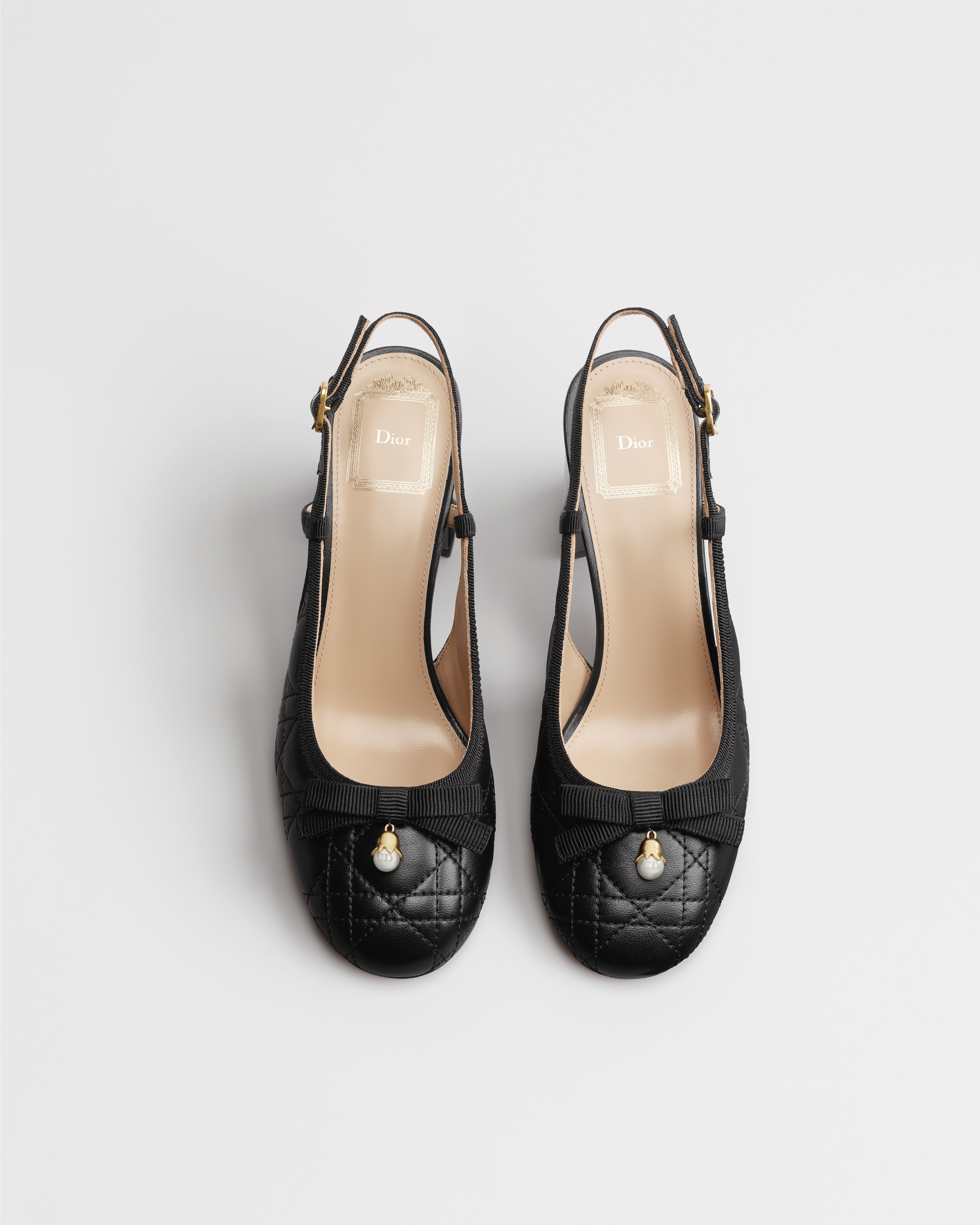 Dior Ballet Slingback Pump