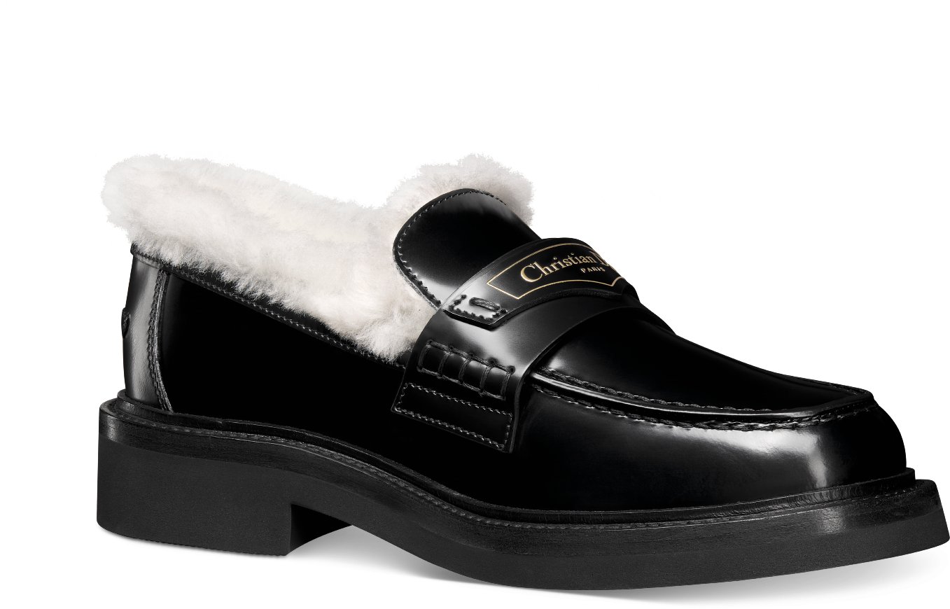 Dior loafers mens new arrivals