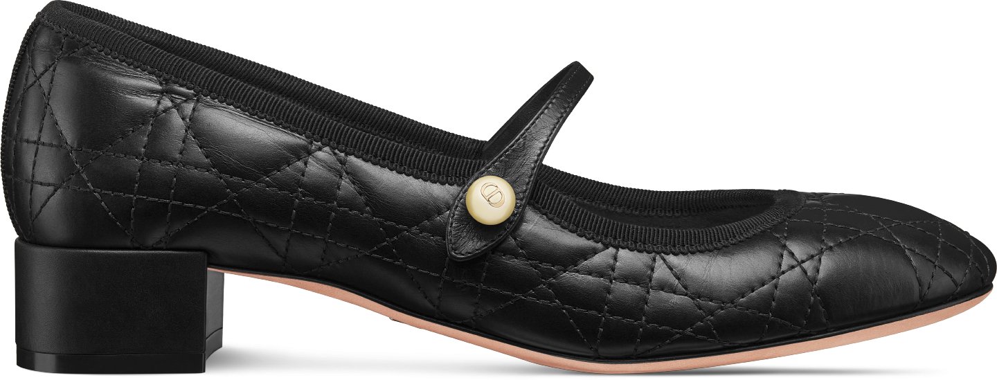 Dior Ballet Pump aria_woman_viewcode_e01