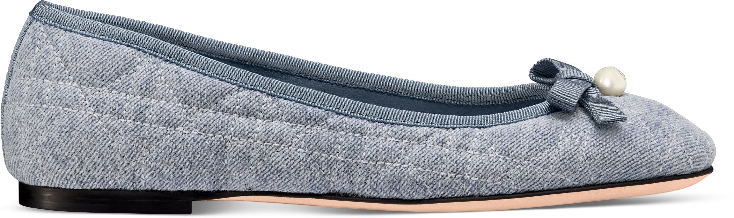 Dior Ballet Flat Profile view
