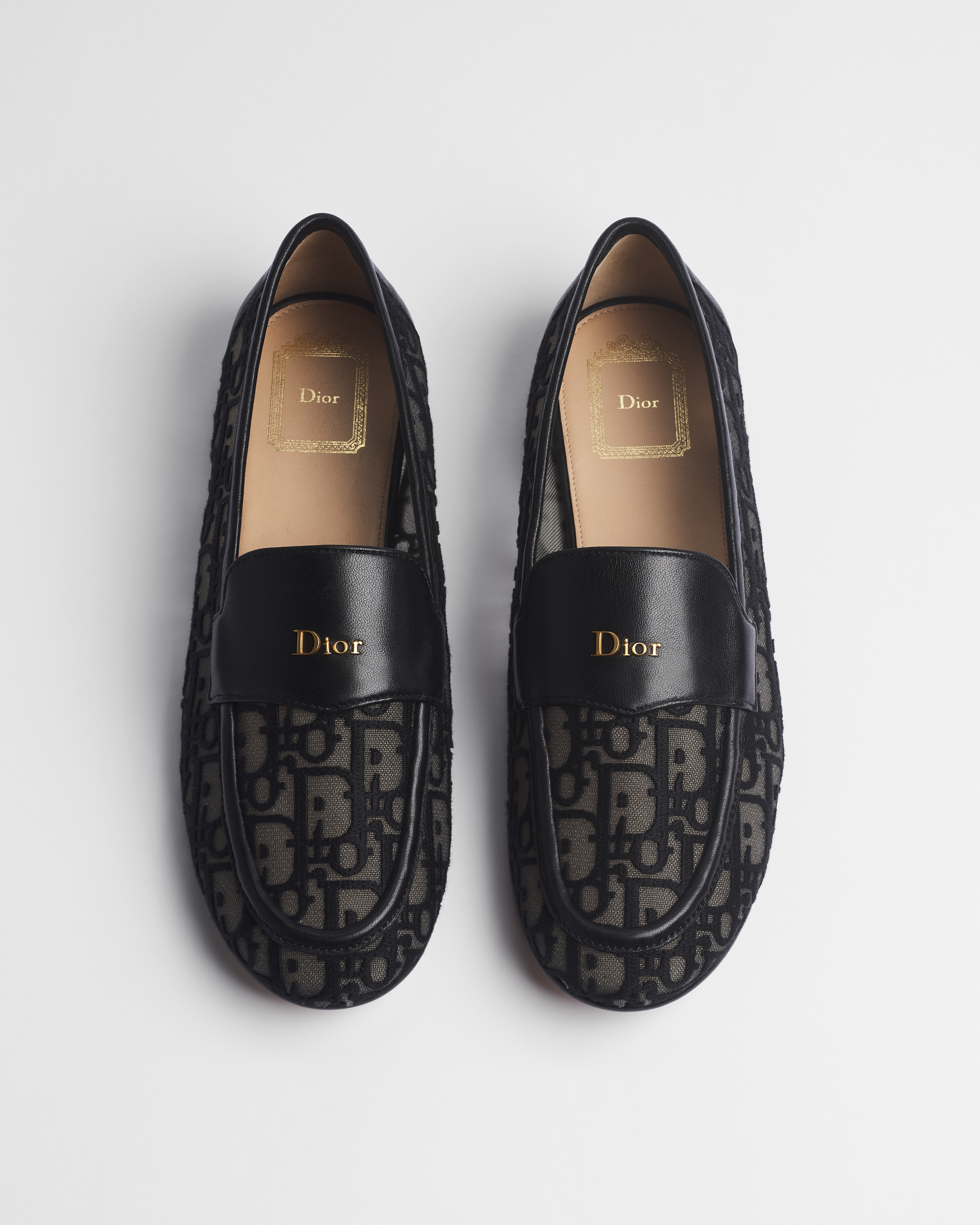 Mocasín Dior Cadence Malla con bordado Dior Oblique en negro E06