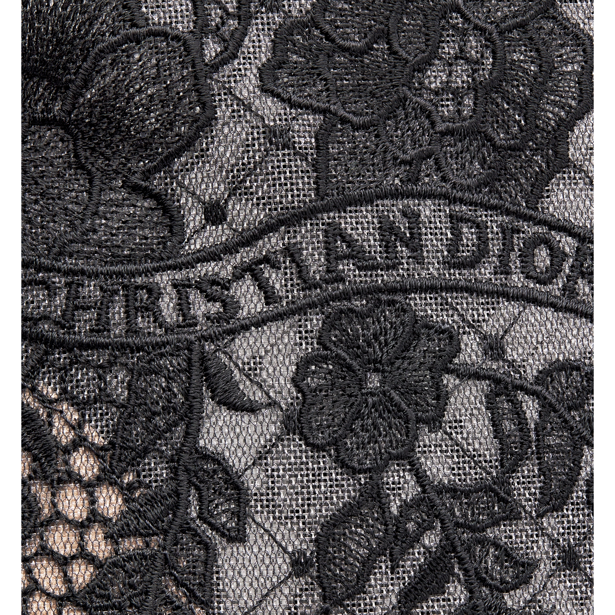 Naughtily-D Heeled Ankle Boot Transparent Mesh with Black Dior Roses Embroidery and Suede Goatskin E10