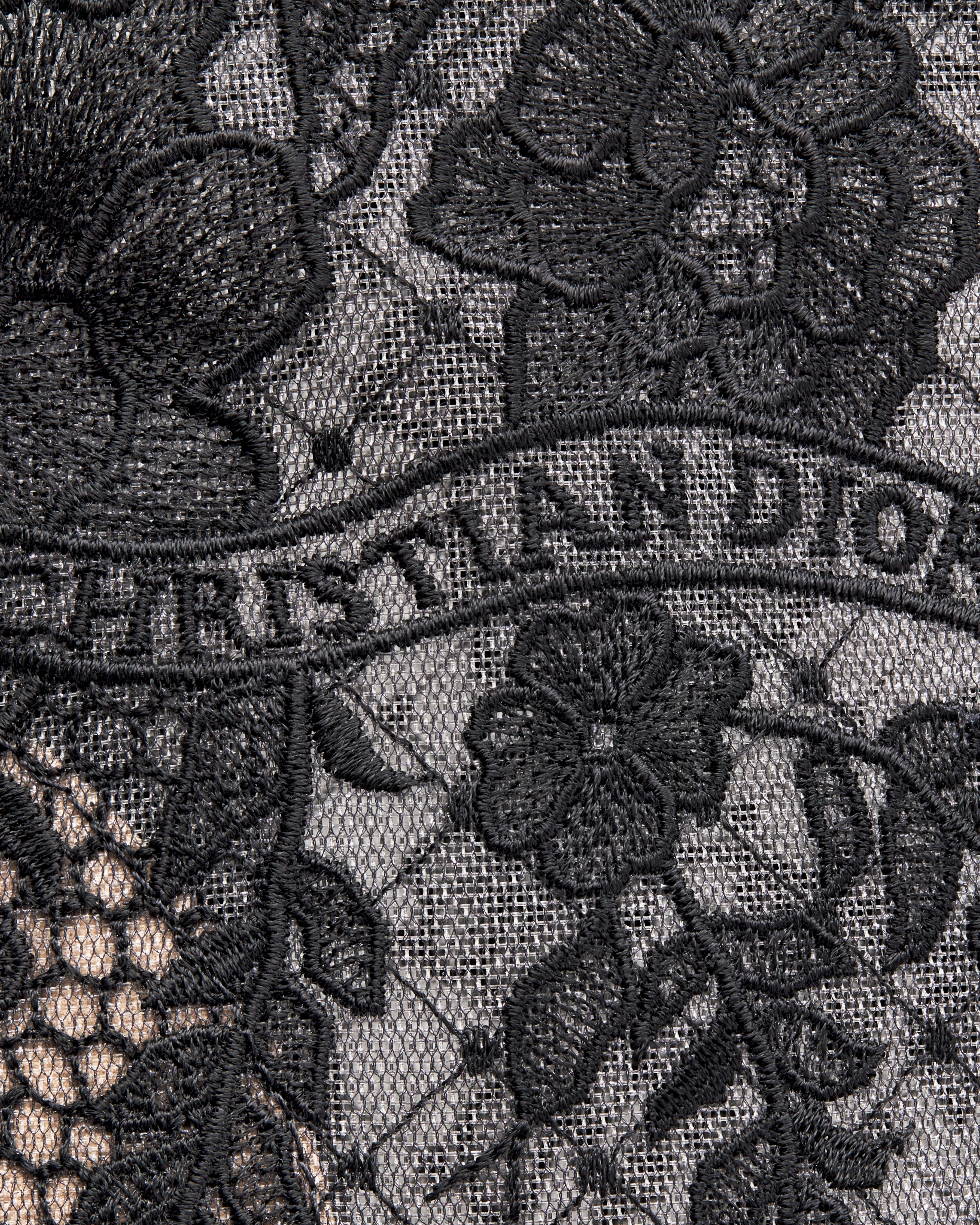 Naughtily-D Heeled Ankle Boot Transparent Mesh with Black Dior Roses Embroidery and Suede Goatskin E10