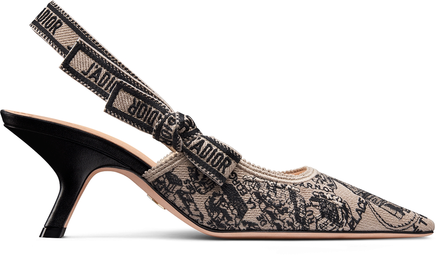 DIOR | J