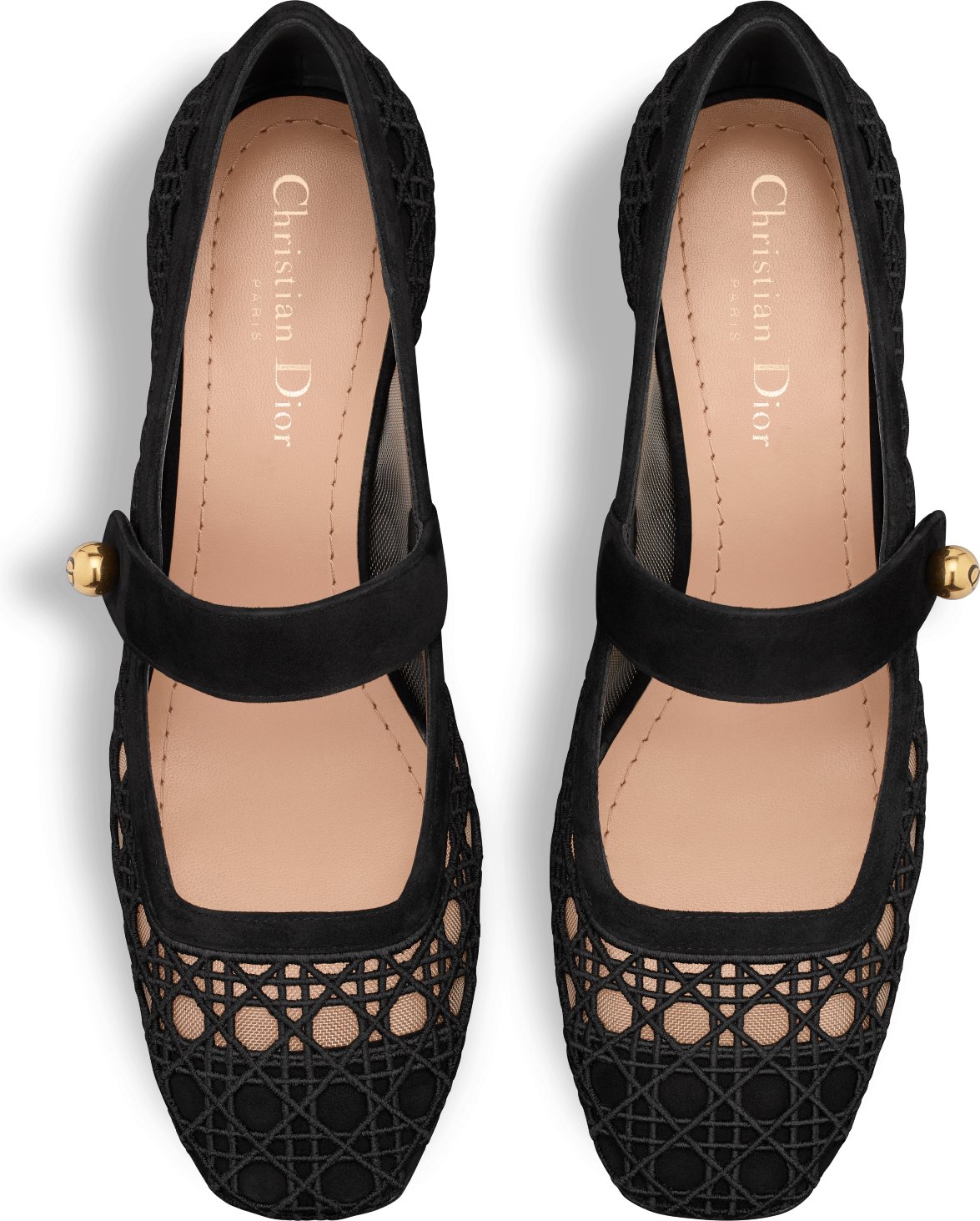 Dior Icon Pump Transparent Mesh Embroidered with Black Cannage Motif ...