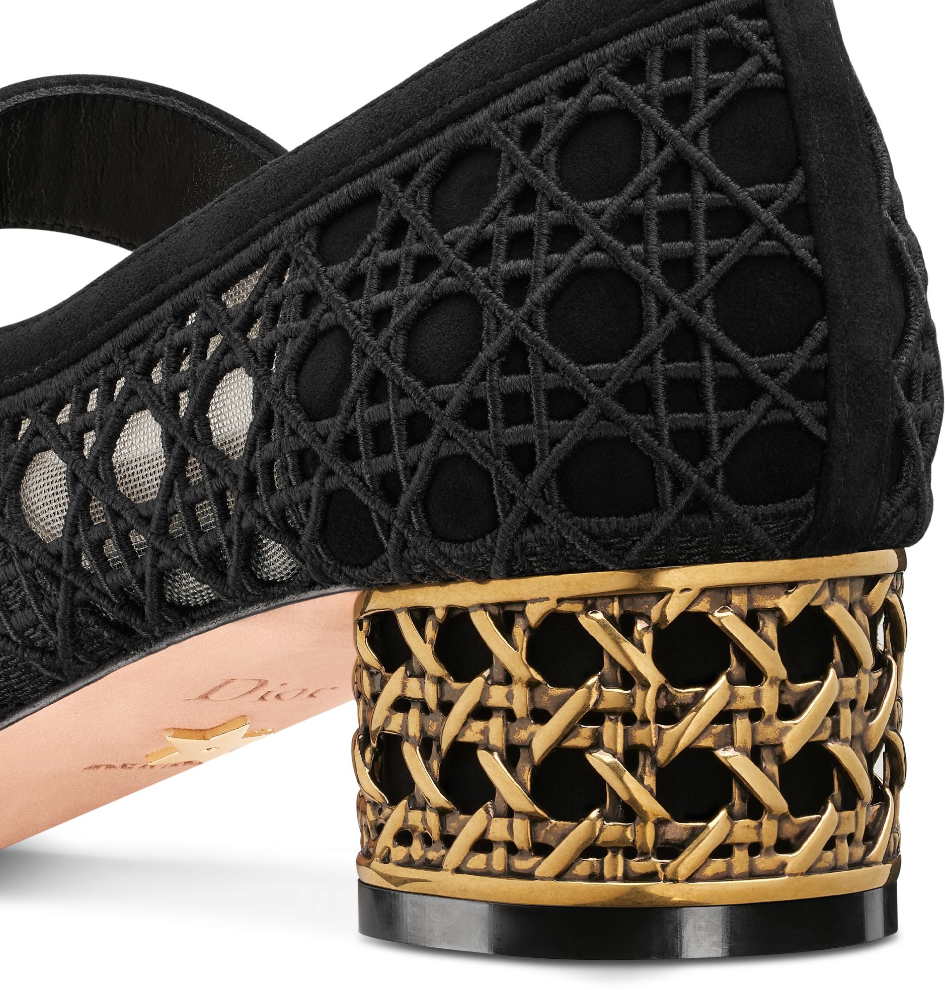 Dior Icon Pump Transparent Mesh Embroidered with Black Cannage Motif ...