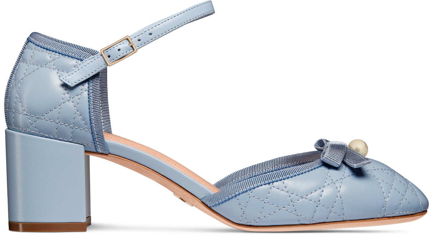 Women s Designer Heels Pumps DIOR AU DIOR
