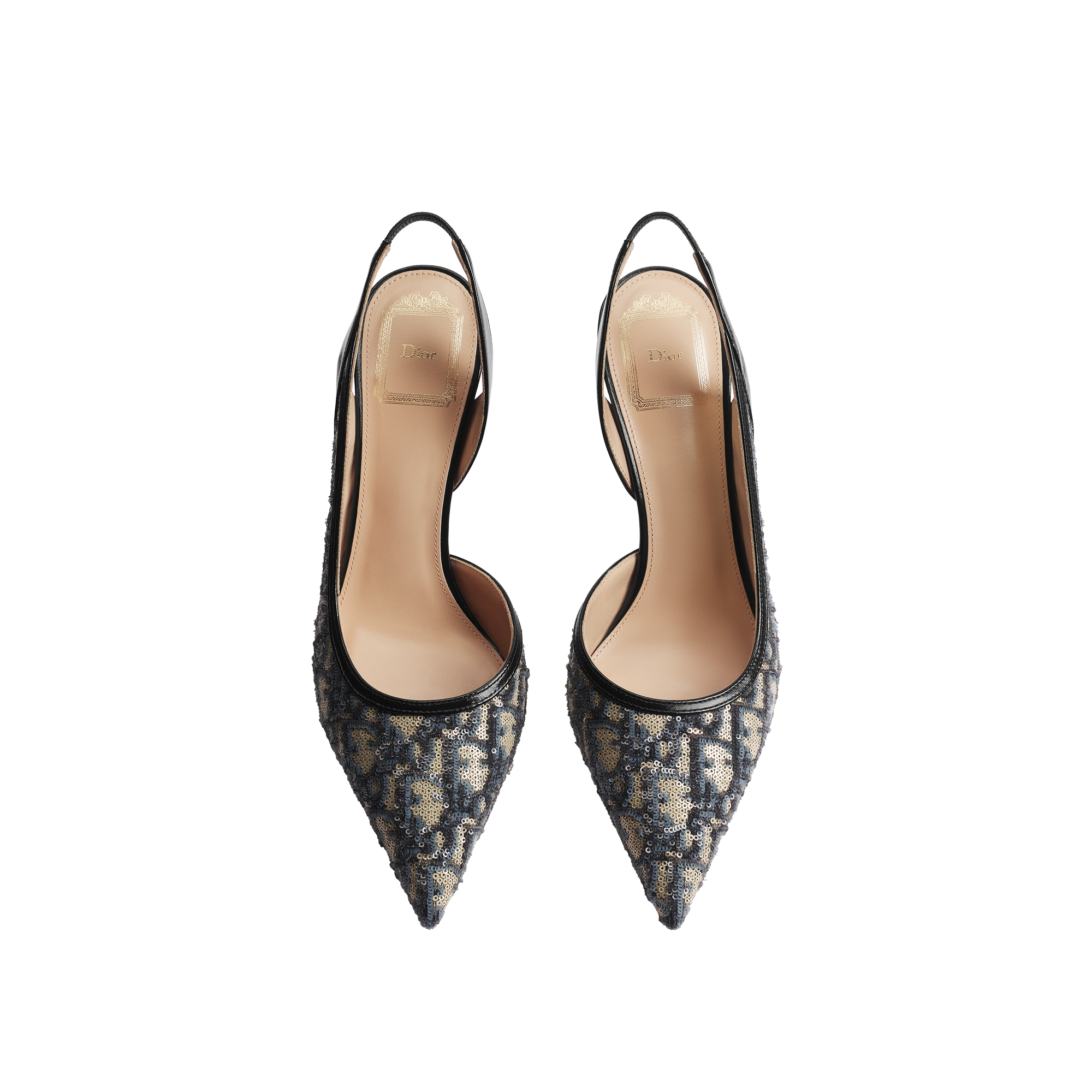 Adiorable Slingback Pump Blue Dior Oblique Fabric Embroidered with Sequins E06