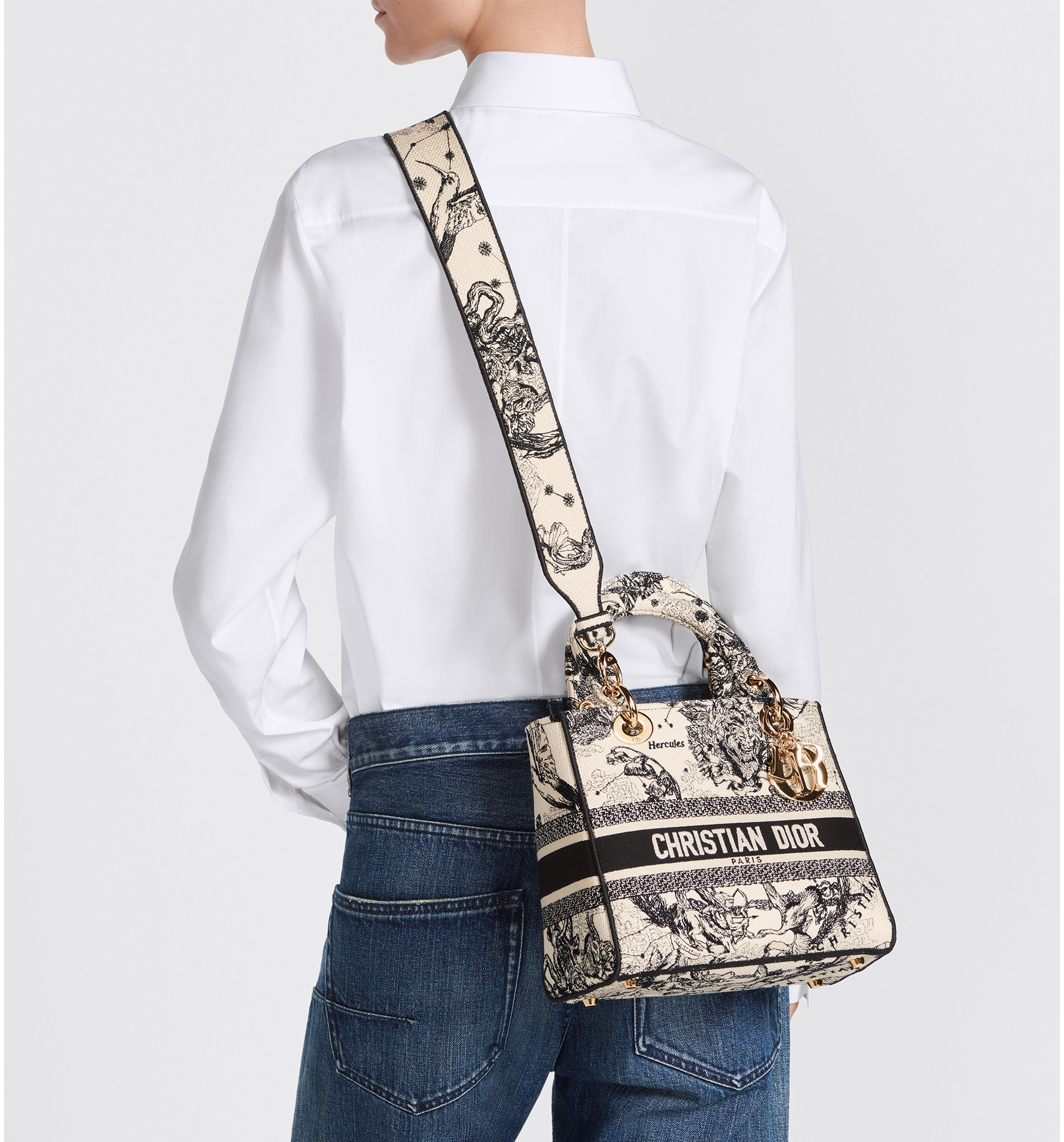 Medium Lady D Lite Bag Latte and Black Toile de Jouy Zodiac Embroidery DIOR