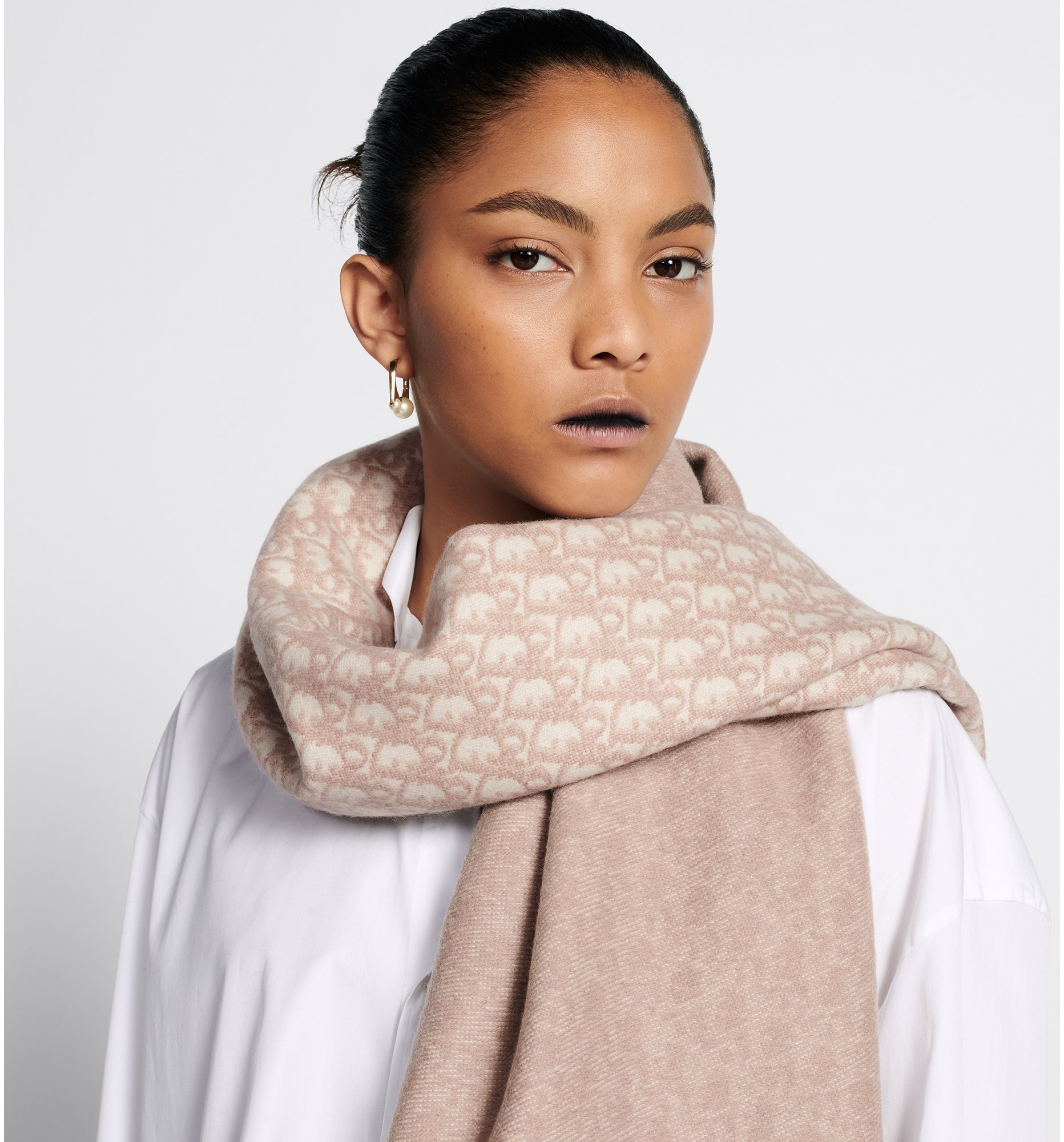 aria_look Dior Oblique Scarf Back view